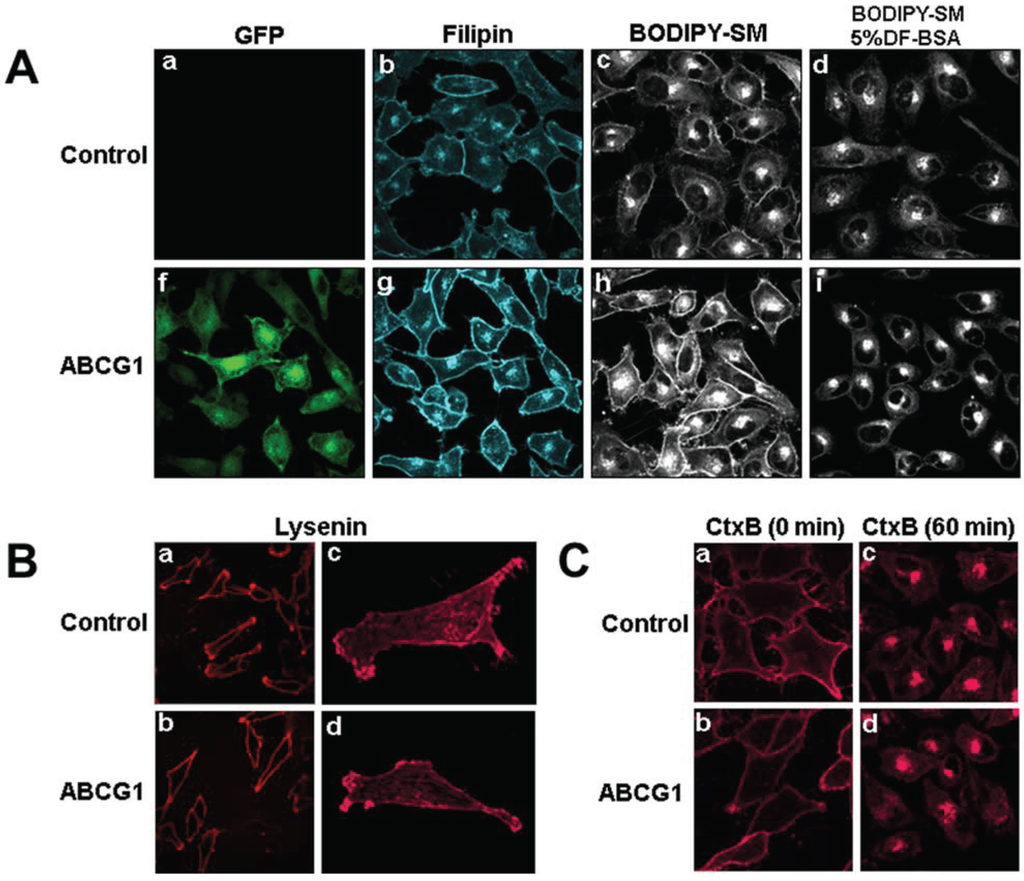 Biology 03 00866 g001 1024