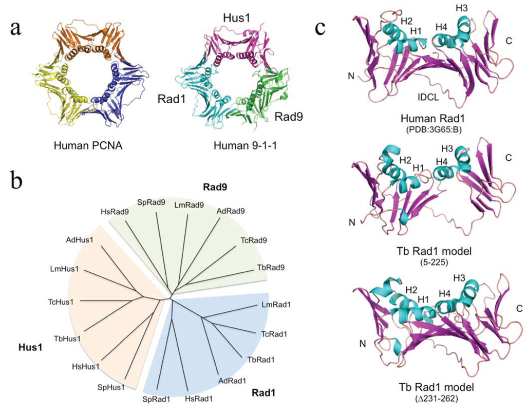 Biology 03 00922 g001 1024