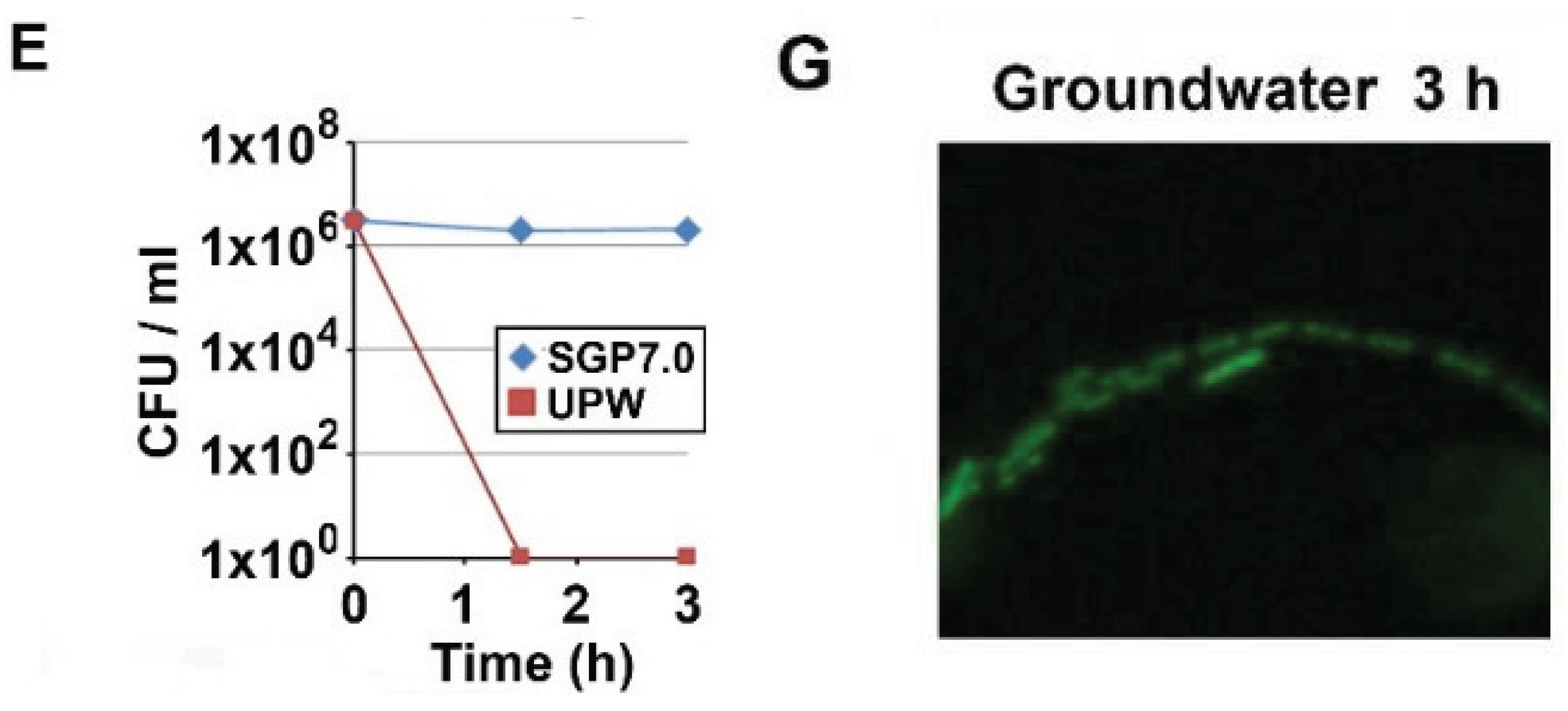 Biology 04 00050 g001b