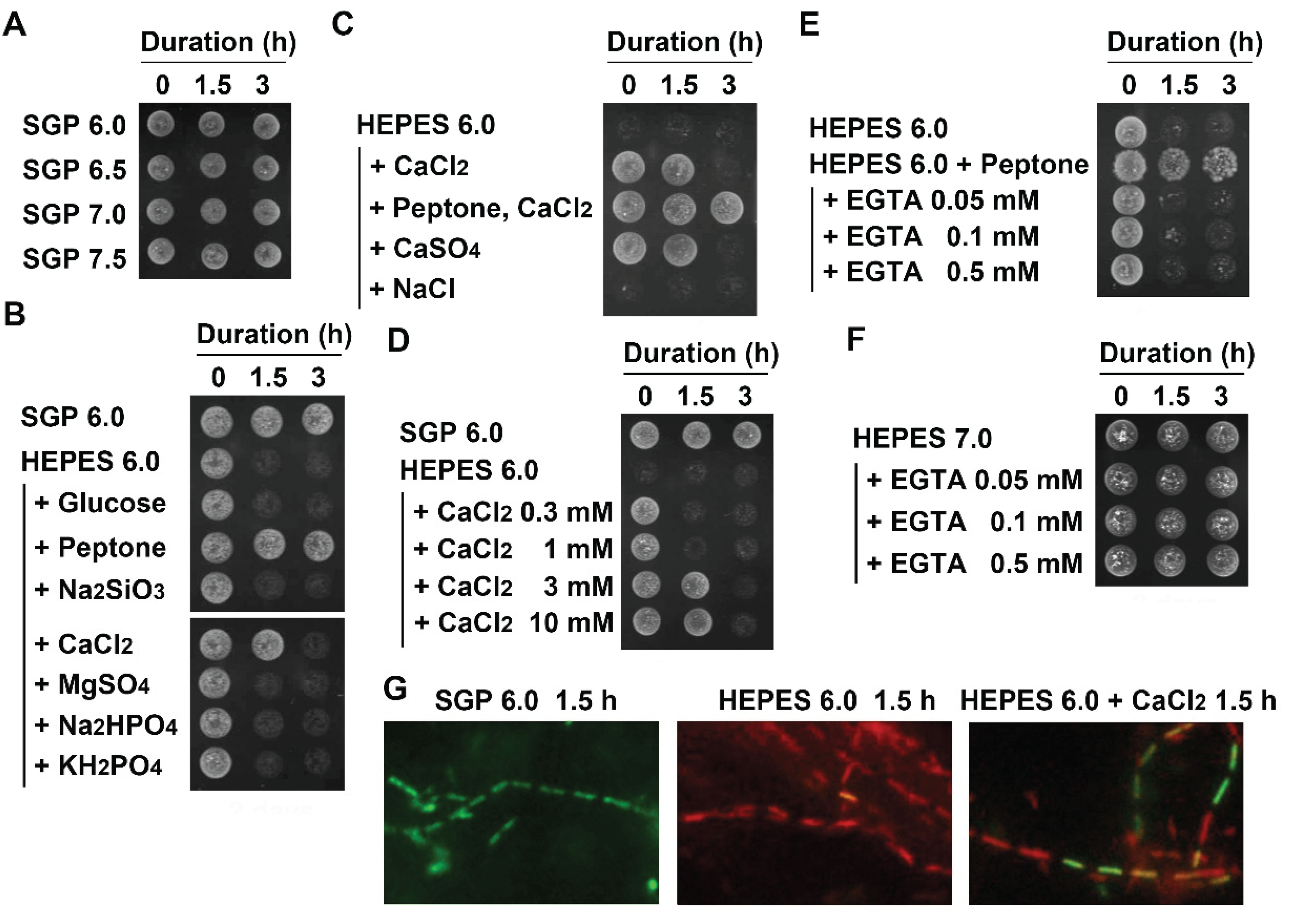 Biology 04 00050 g003