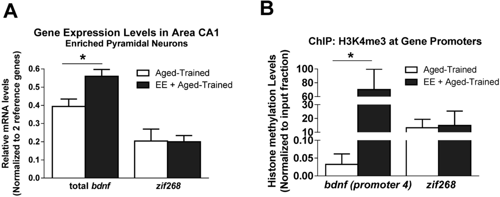 Biology 04 00298 g007 1024