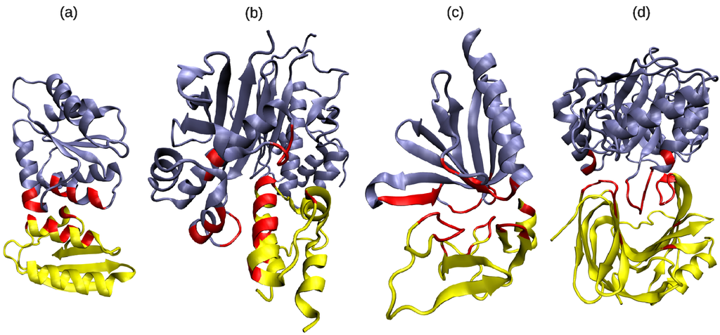 Biology 04 00327 g003 1024