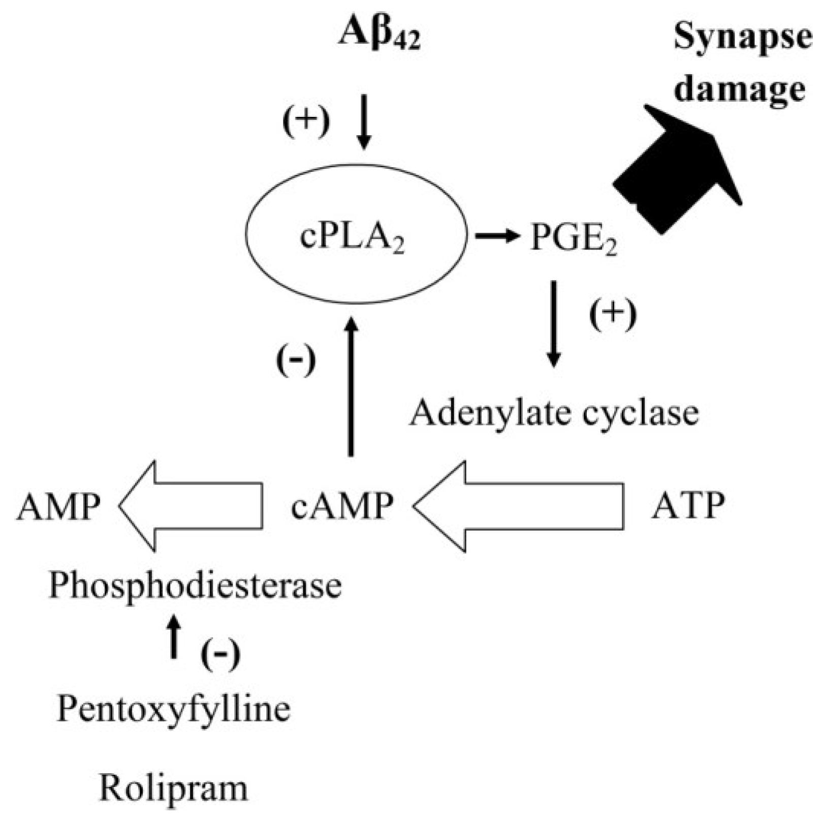 Biology 04 00591 g009