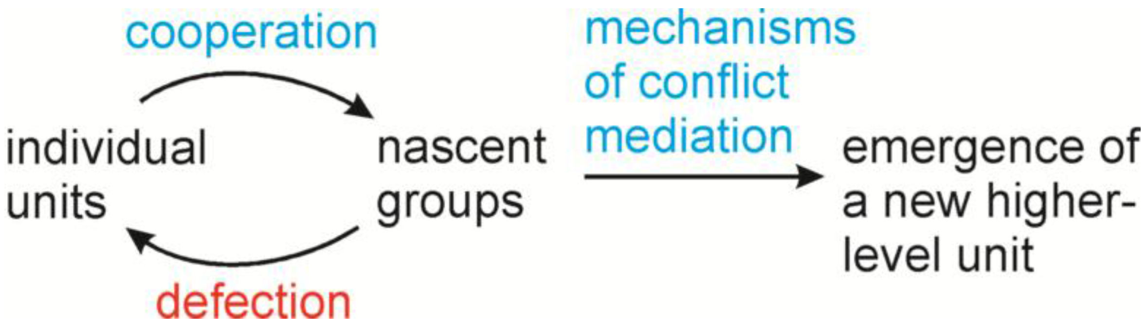 Biology 05 00018 g001