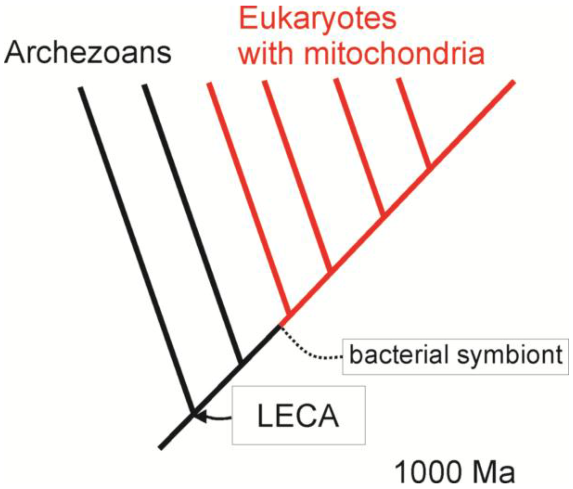 Biology 05 00018 g002