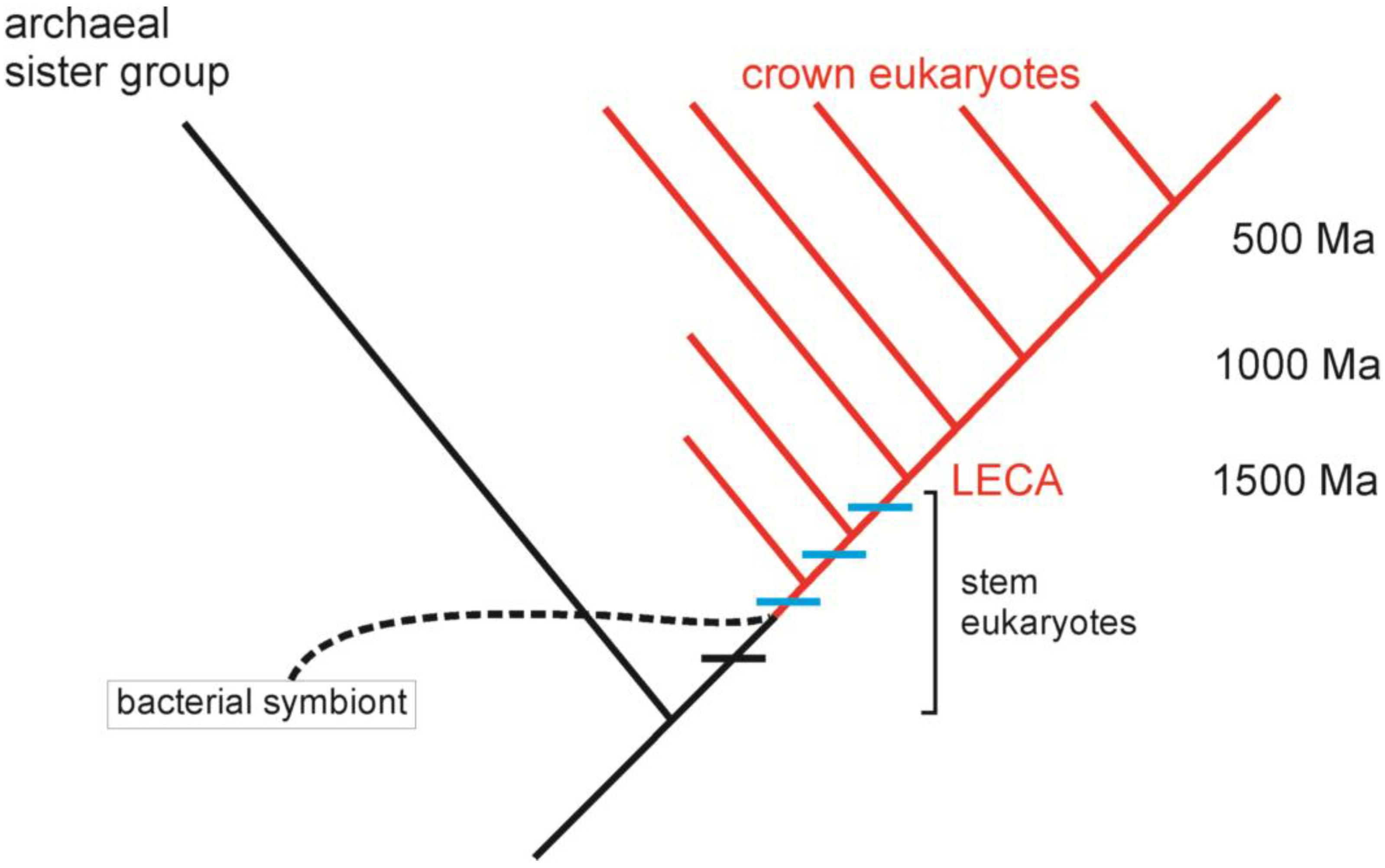 Biology 05 00018 g003