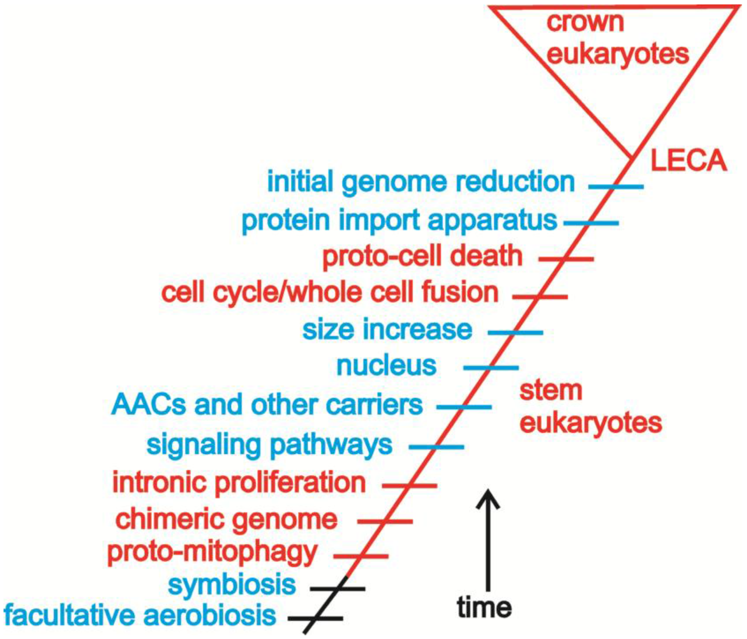 Biology 05 00018 g004