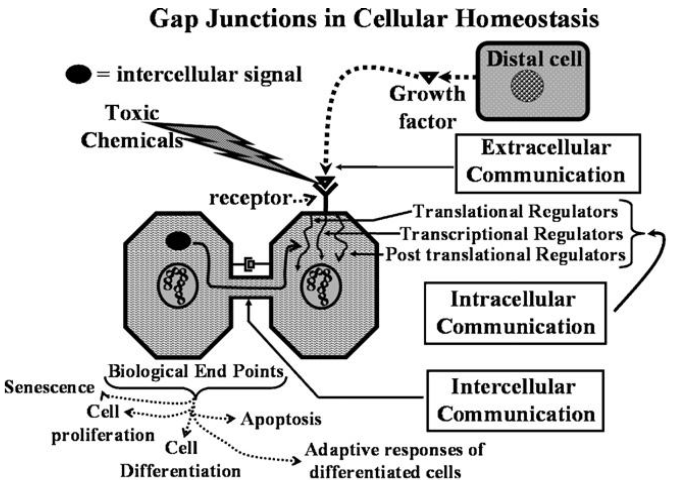 Biology 05 00029 g001
