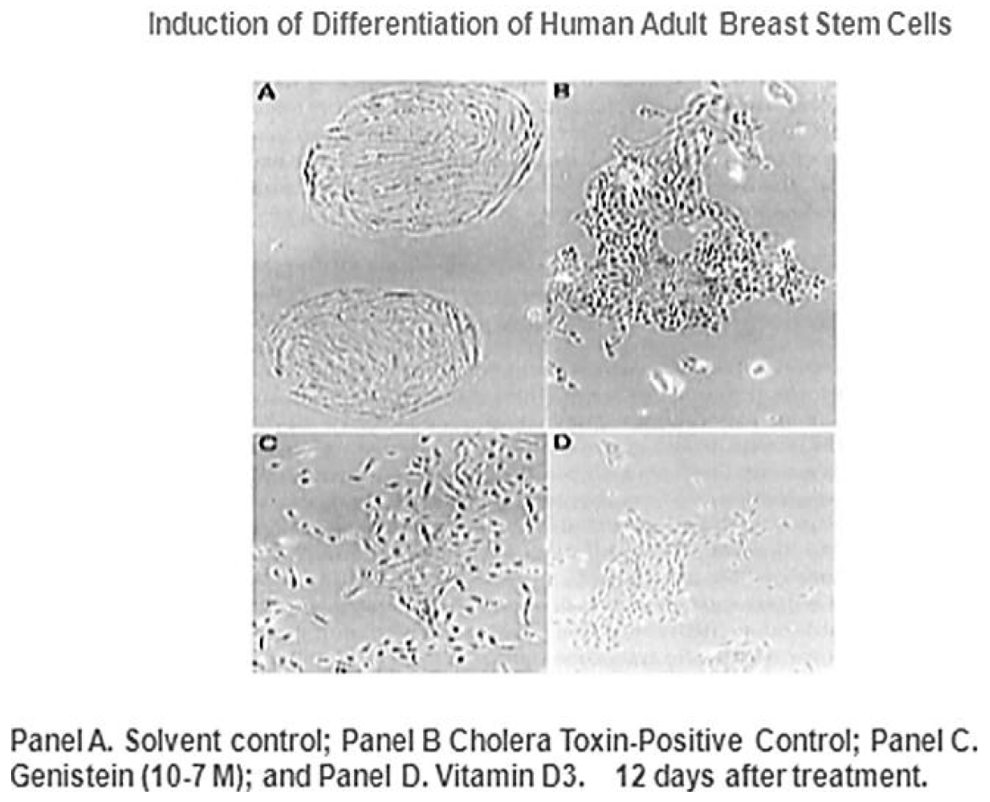 Biology 05 00029 g010