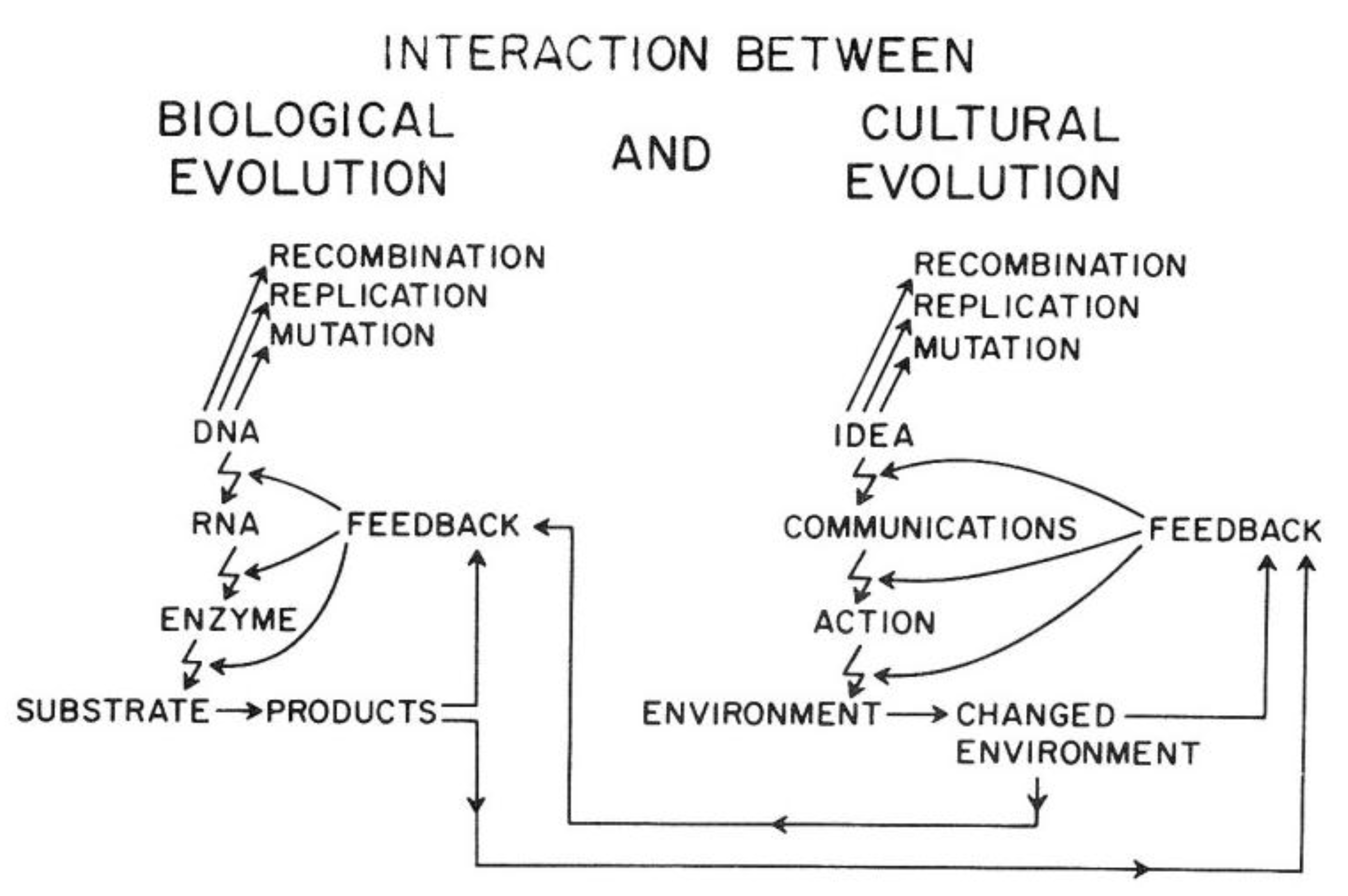 Biology 05 00029 g014