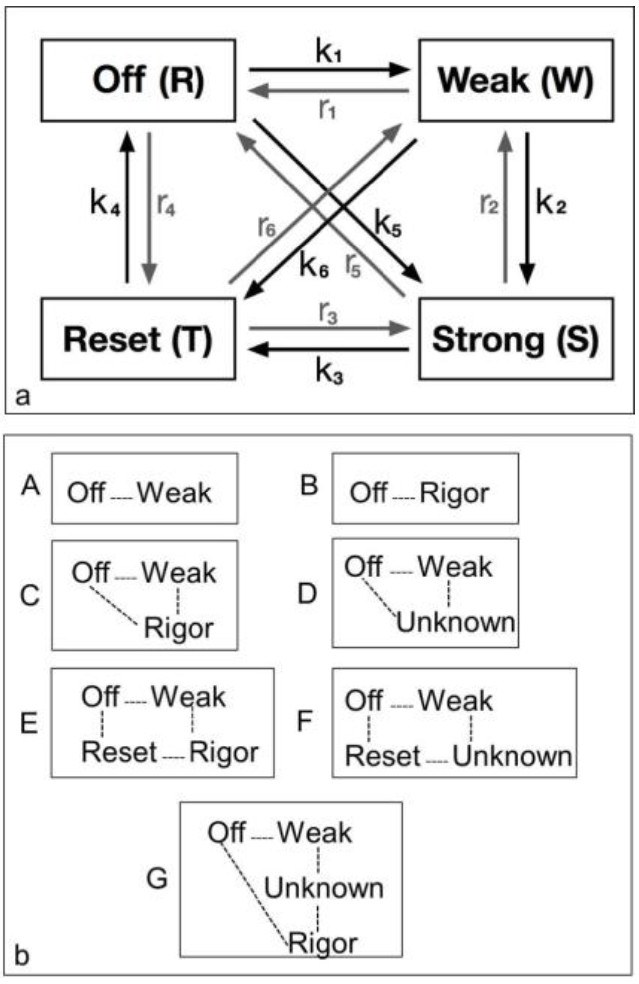 Biology 05 00041 g002