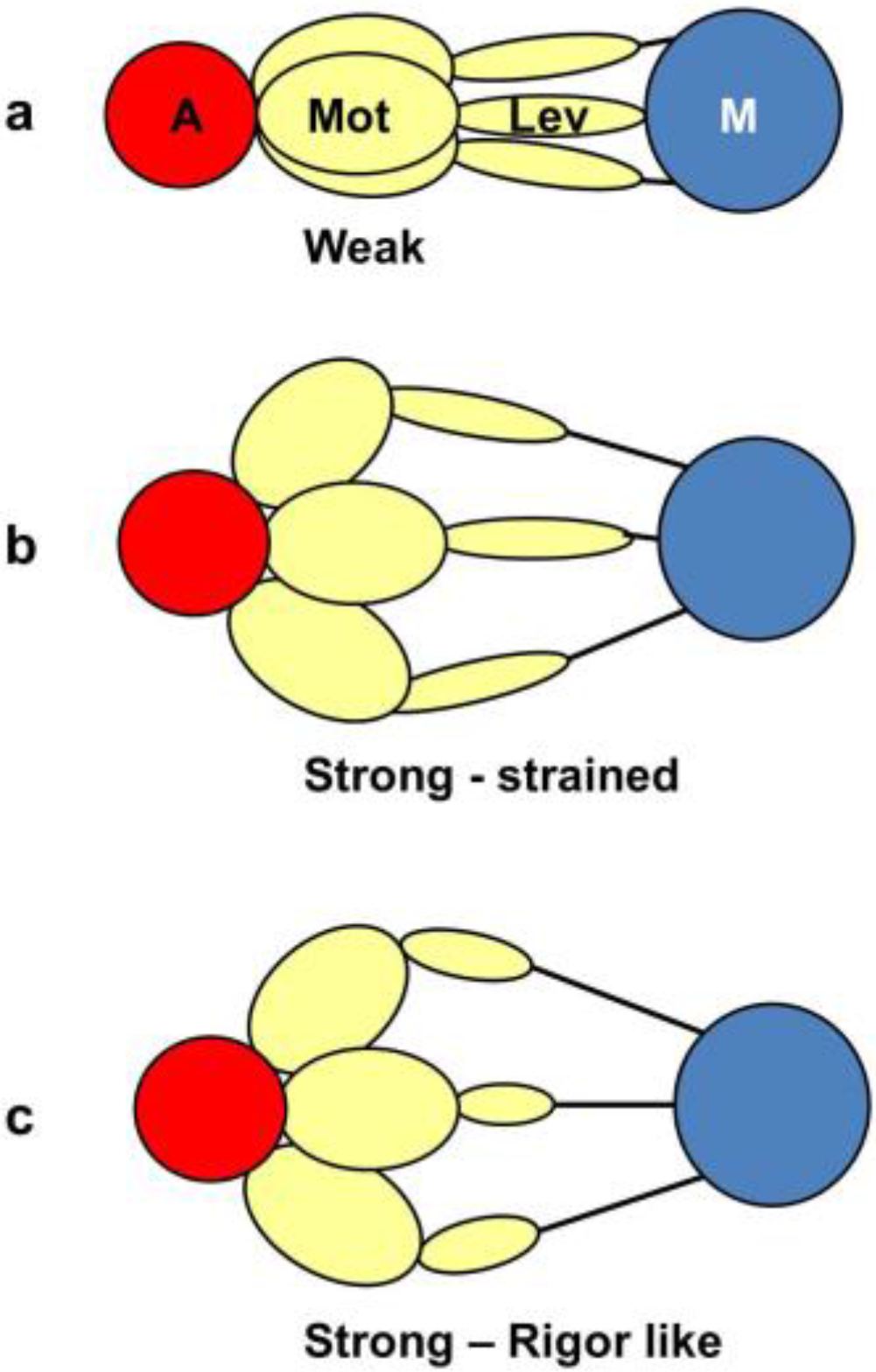 Biology 05 00041 g012