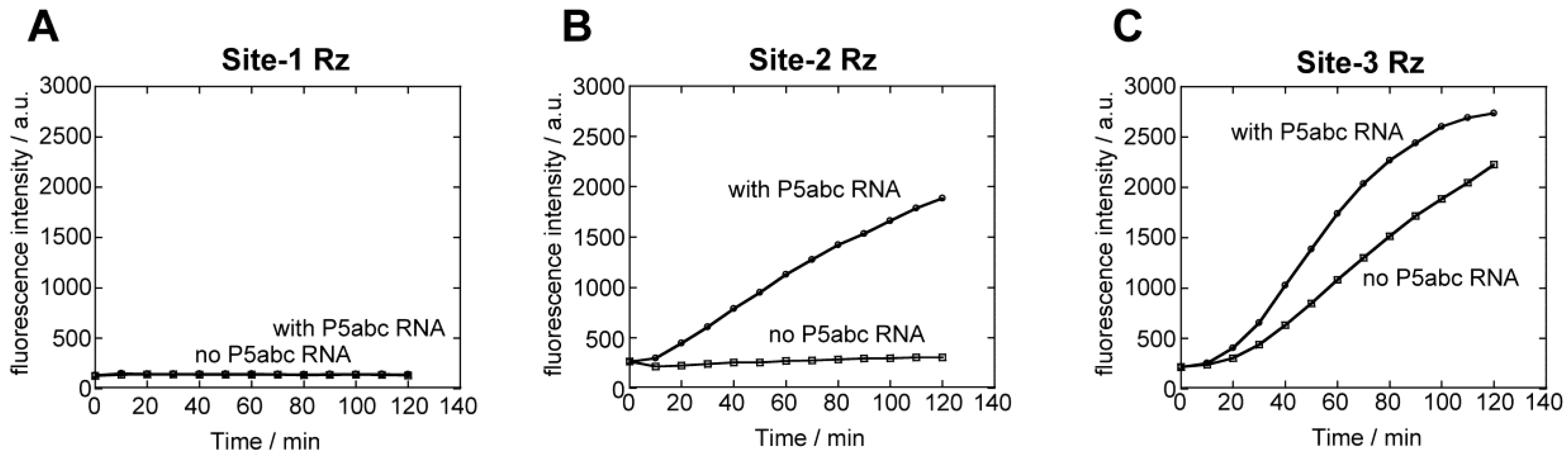 Biology 05 00043 g003
