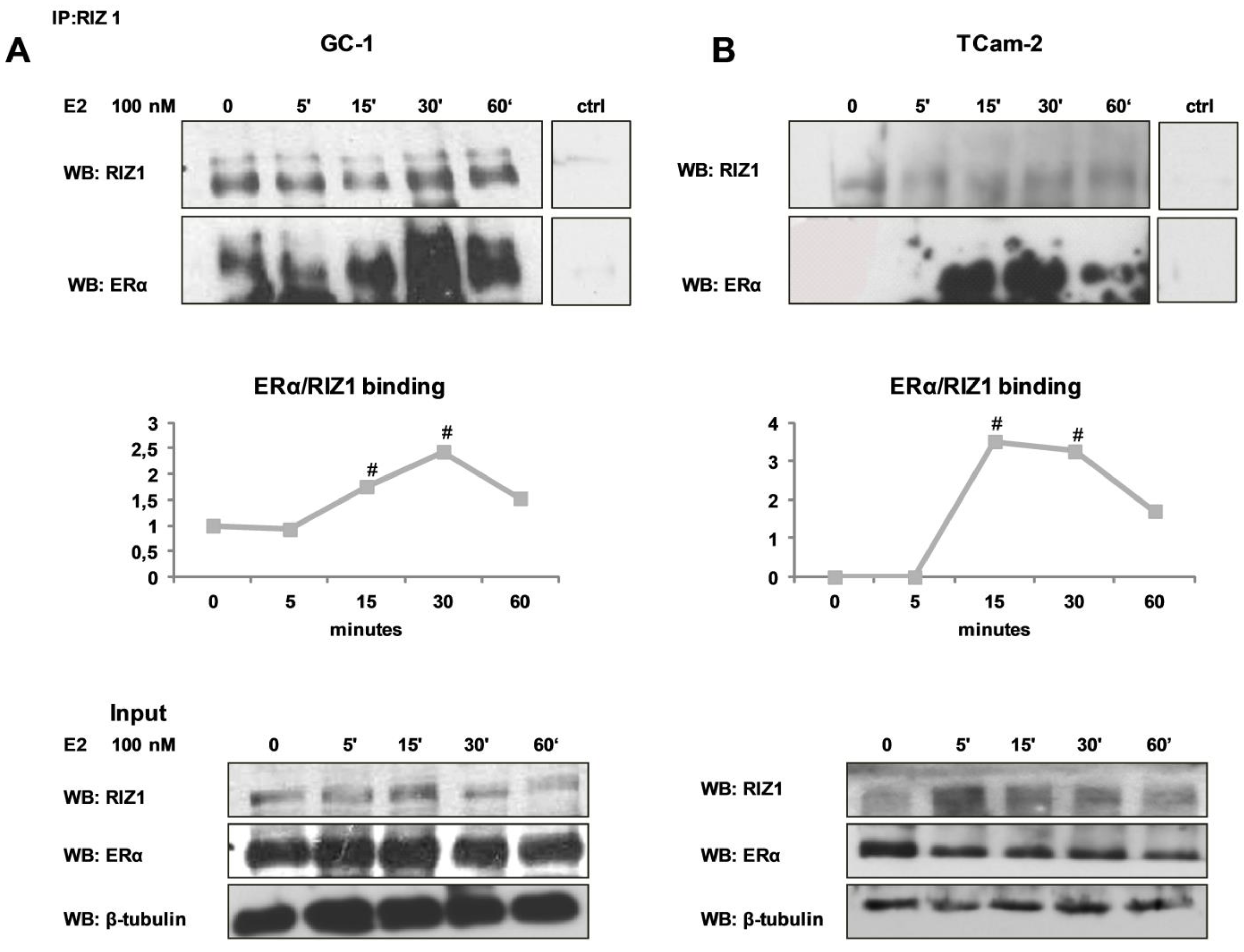 Biology 05 00054 g002