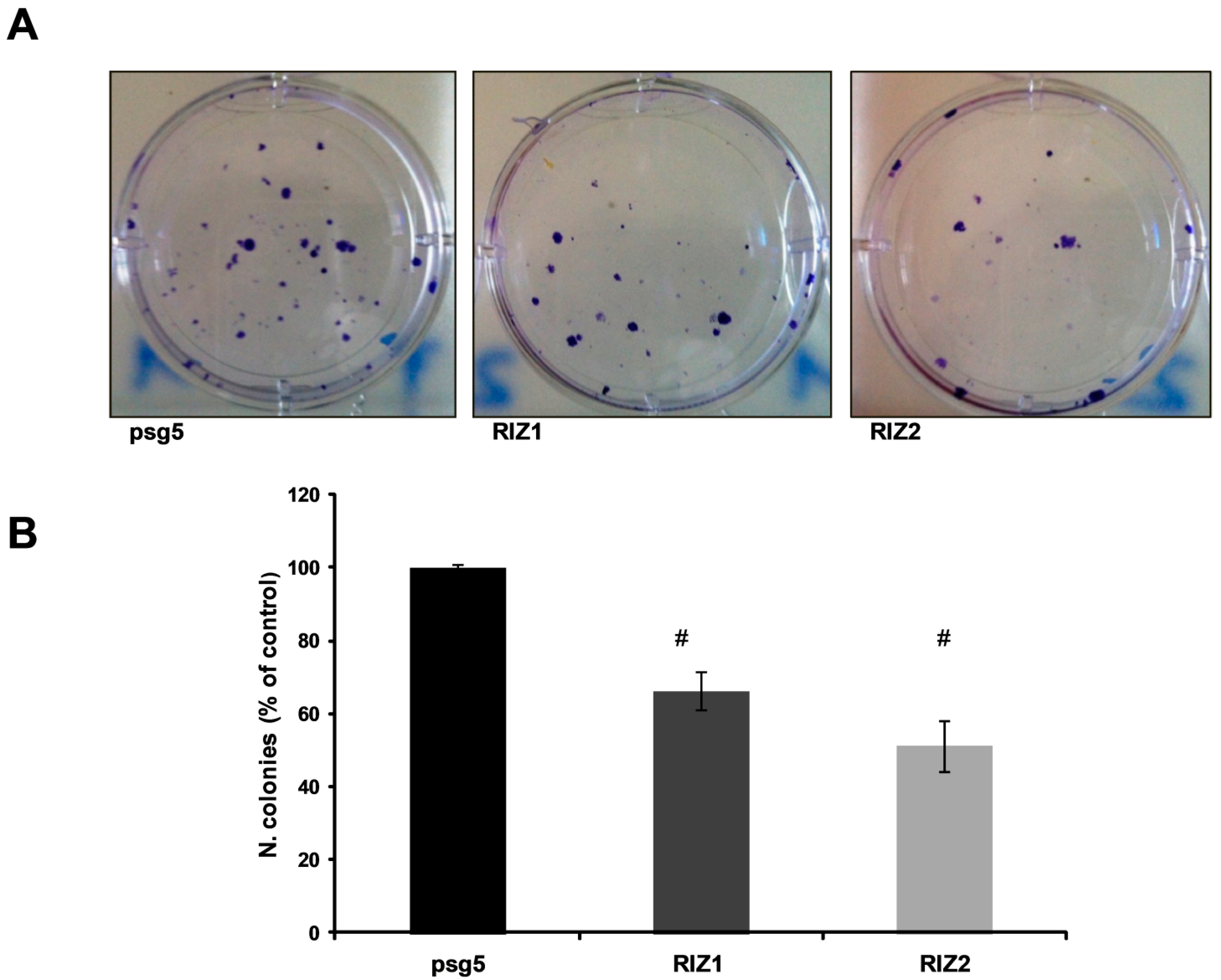 Biology 05 00054 g004