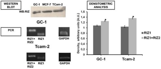 Biology 05 00054 g005 550