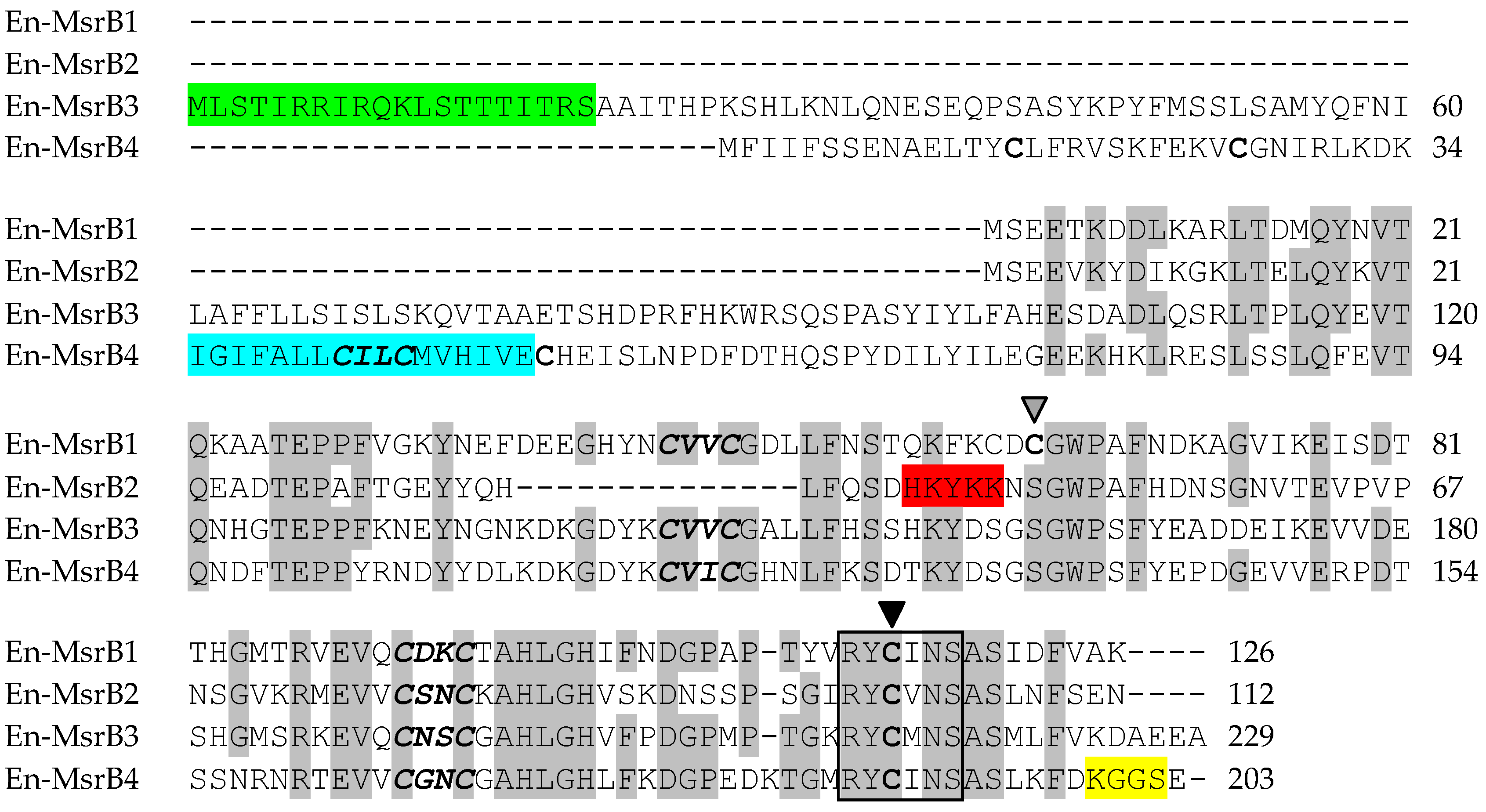 Biology 06 00004 g002