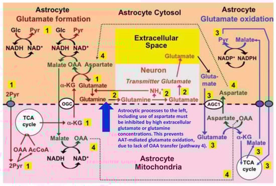 Biology 06 00017 g003 550