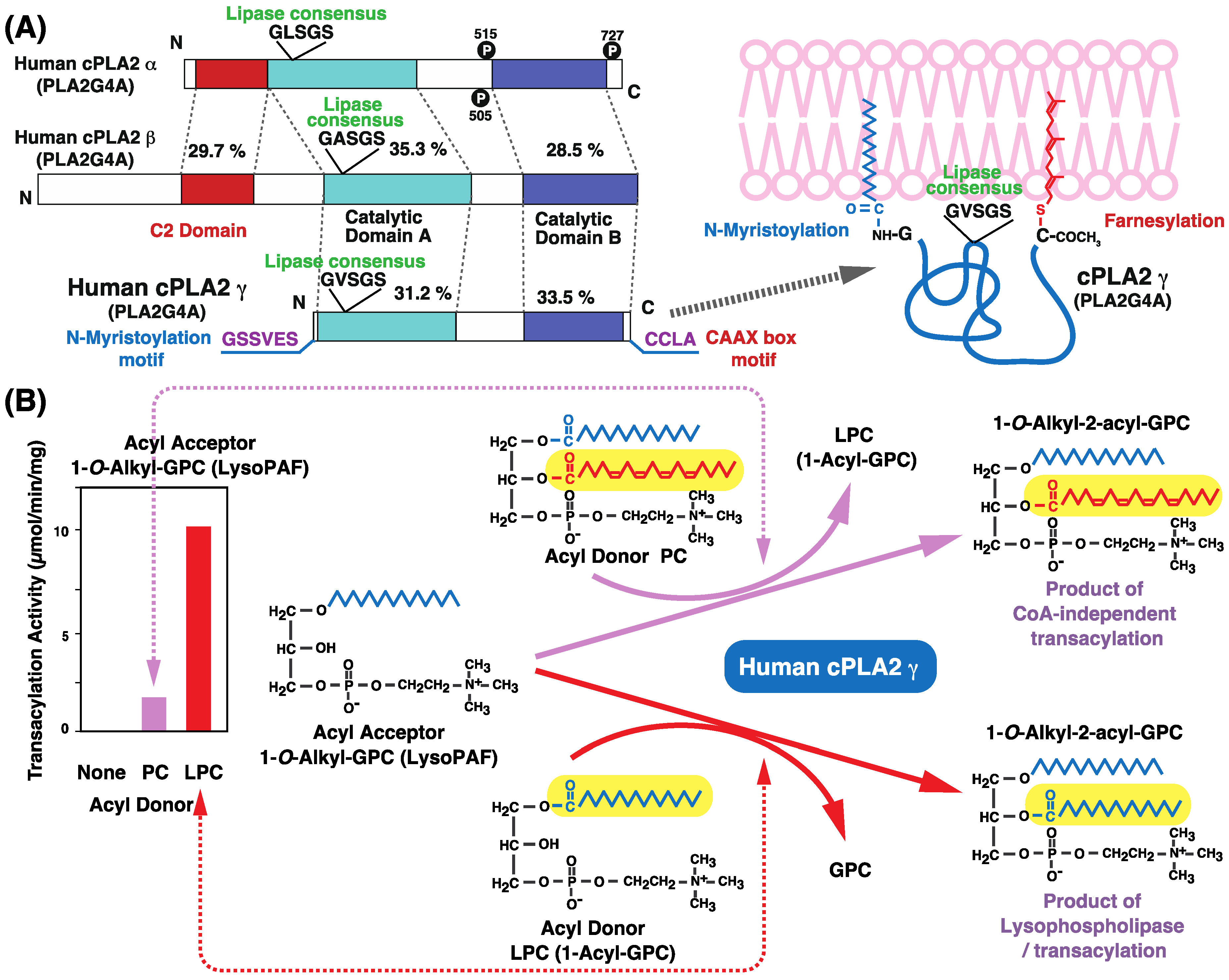 Biology 06 00023 g009
