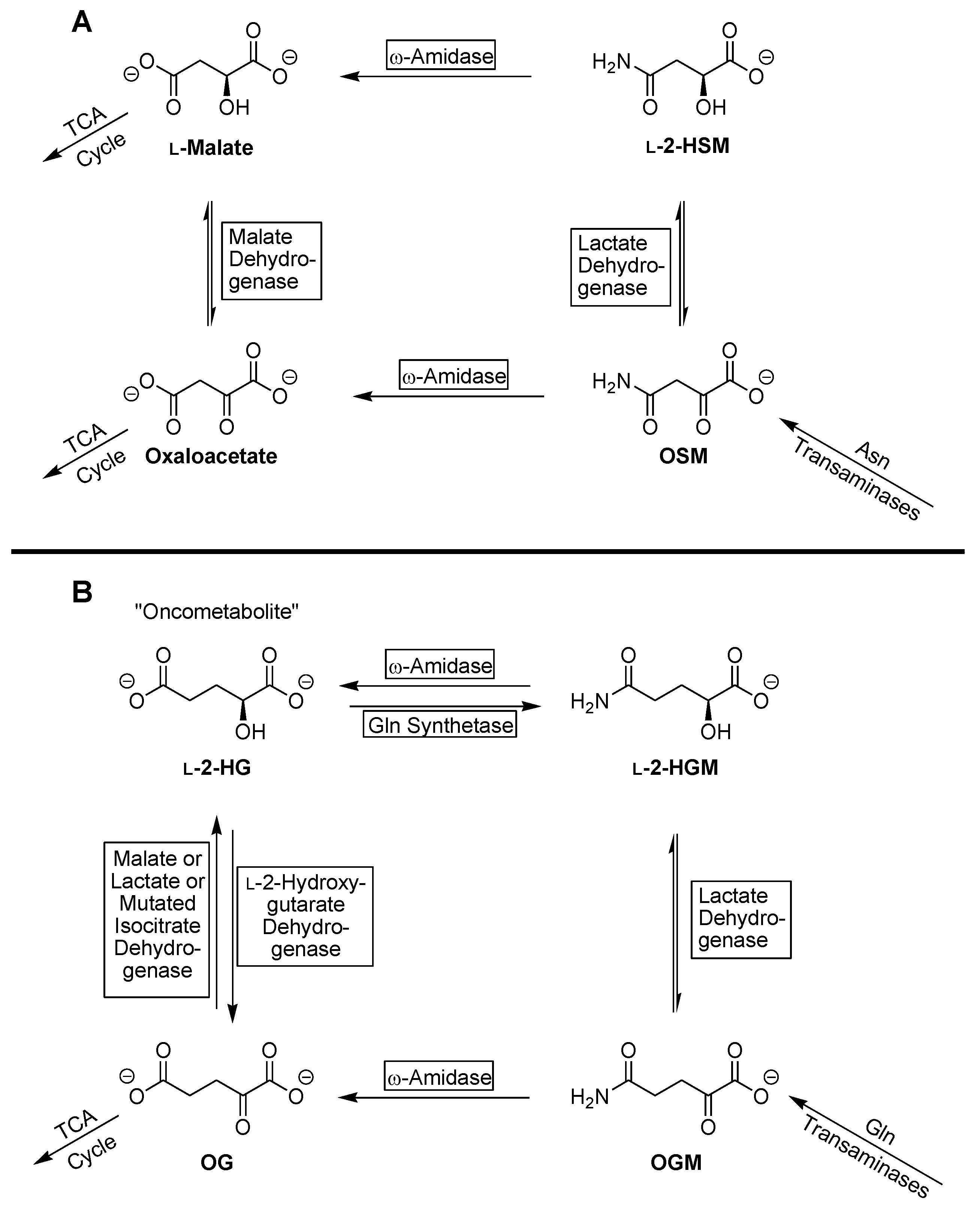 Biology 06 00024 g002