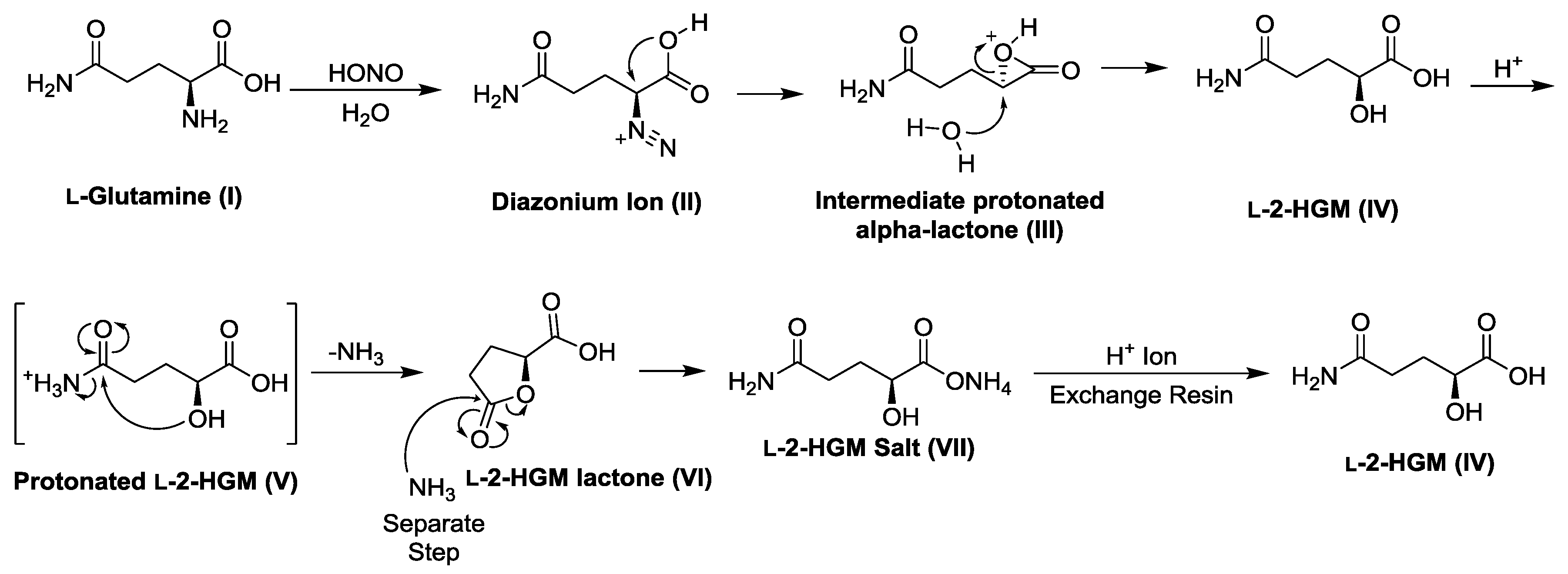 Biology 06 00024 sch001