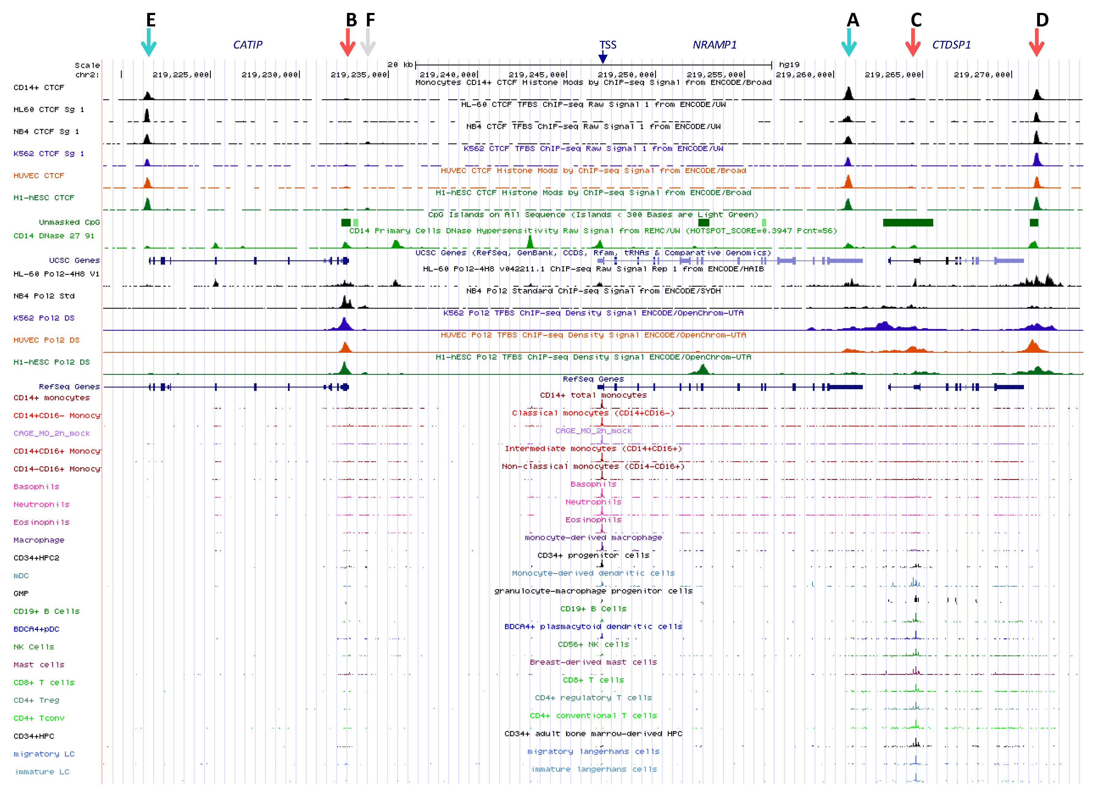 Biology 06 00028 g001