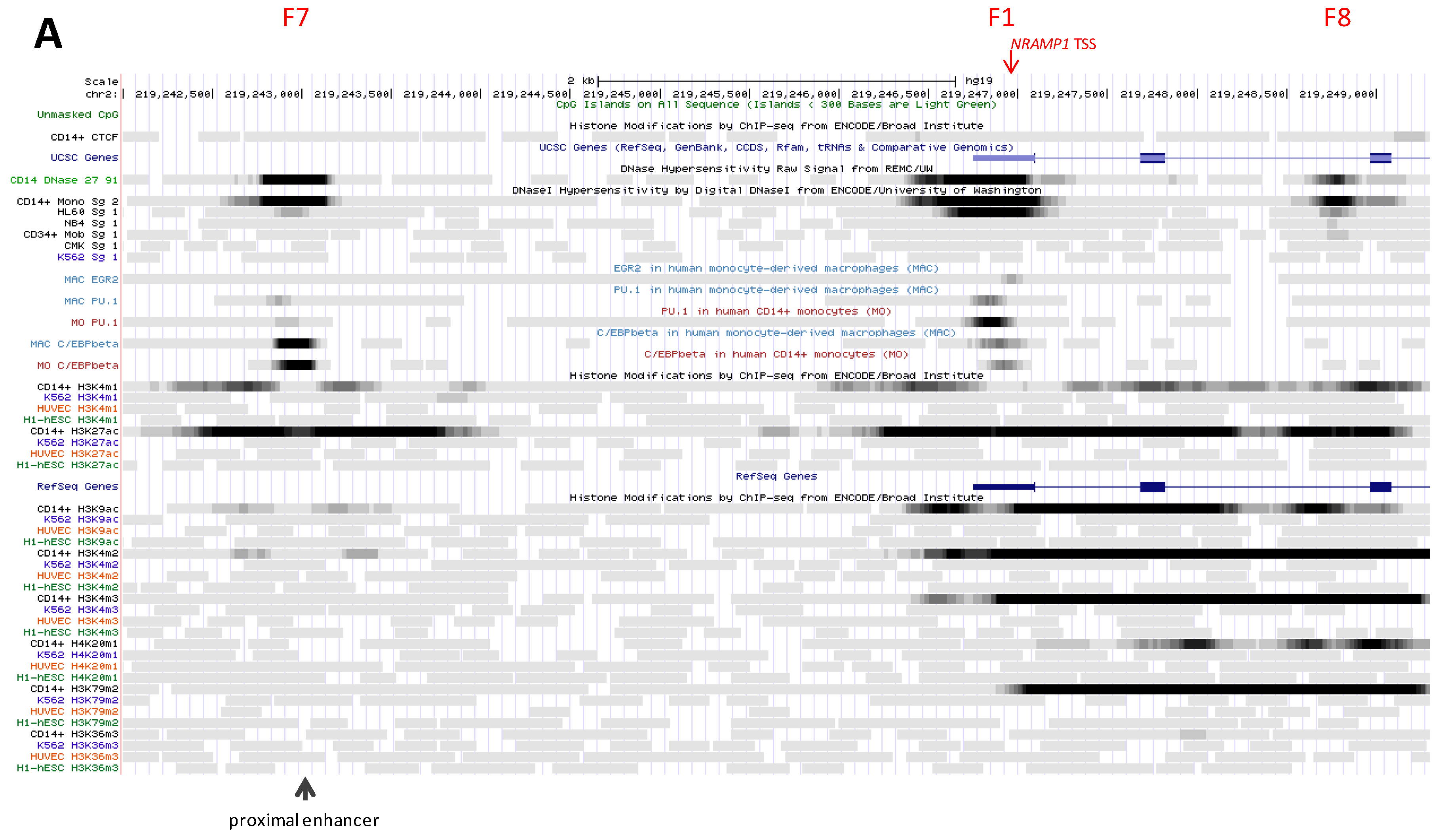 Biology 06 00028 g003a