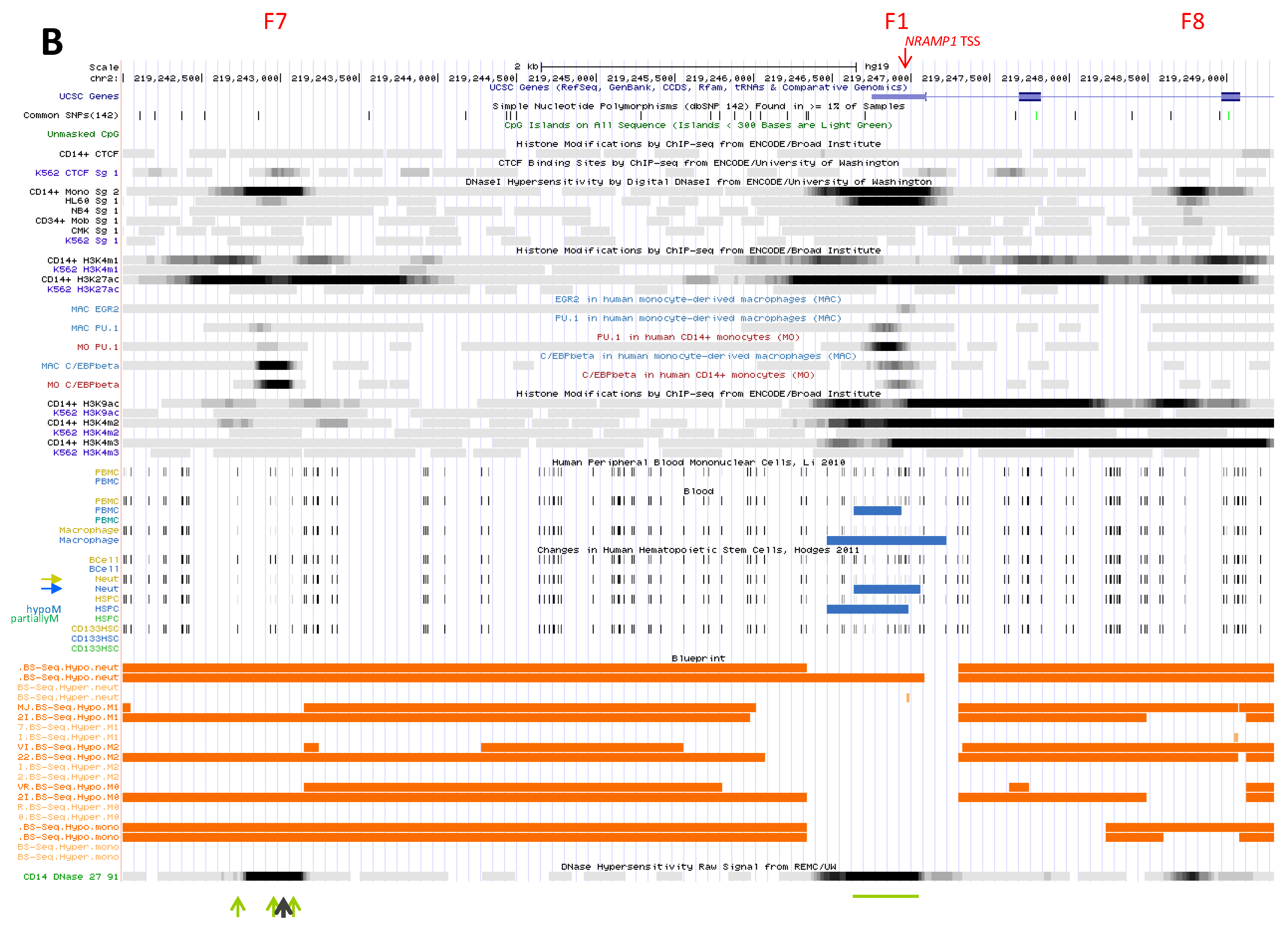 Biology 06 00028 g003b