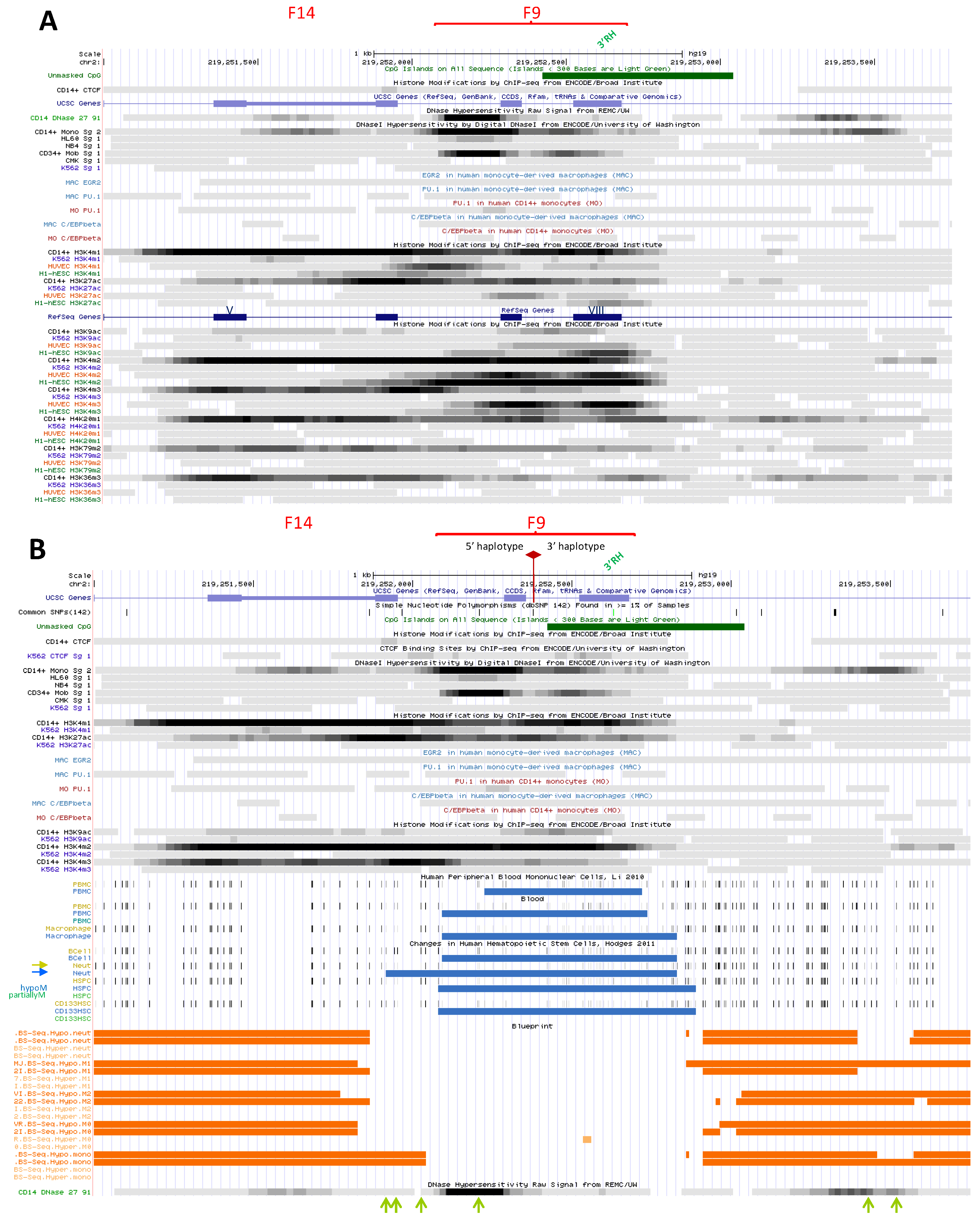 Biology 06 00028 g005