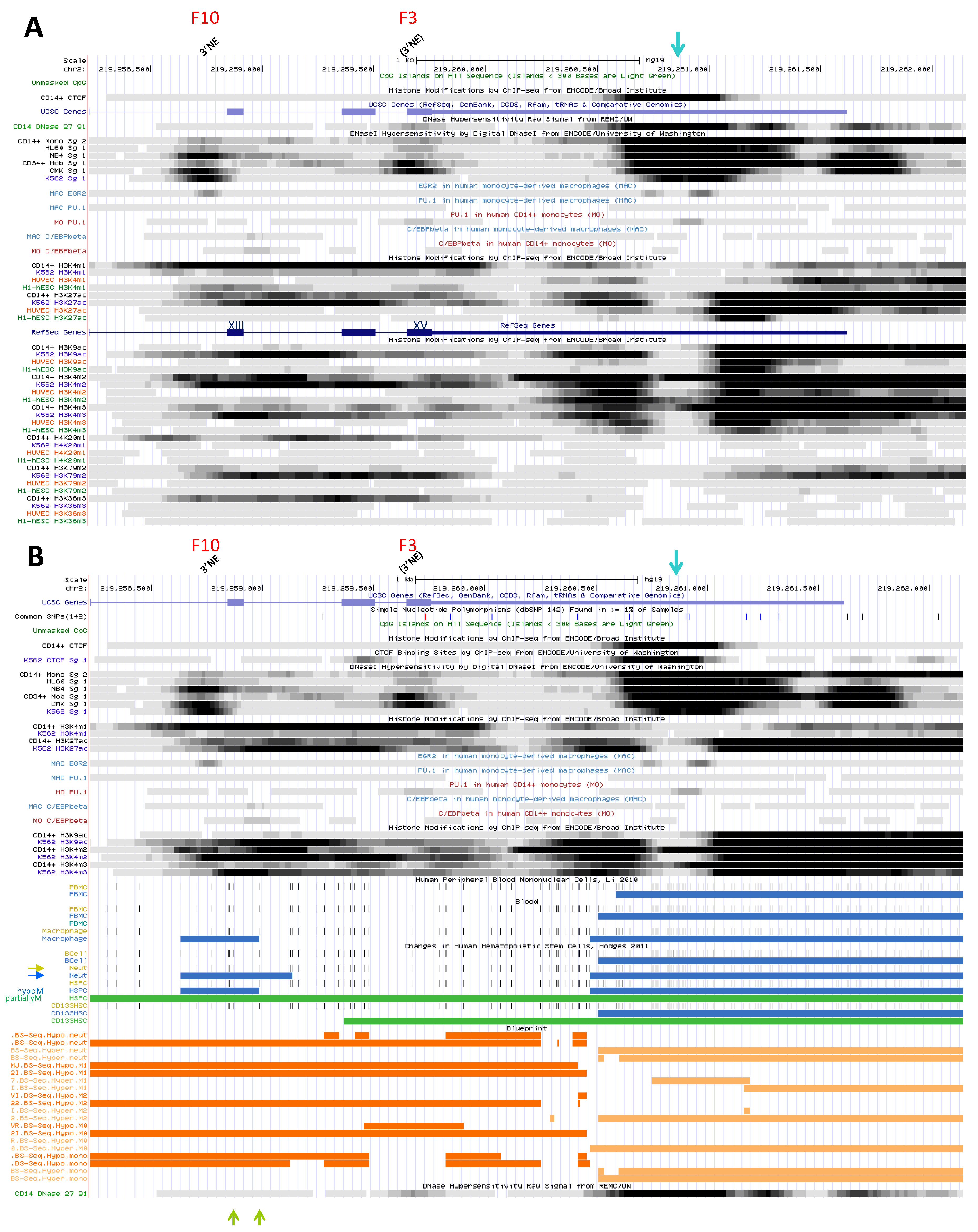 Biology 06 00028 g006