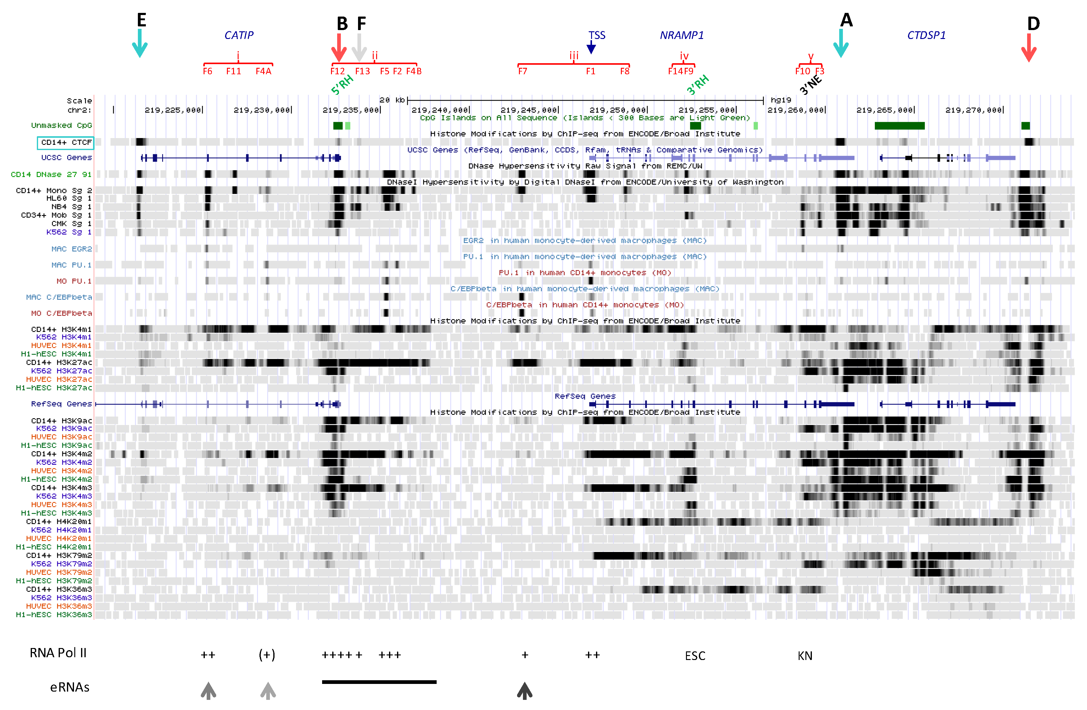 Biology 06 00028 g007