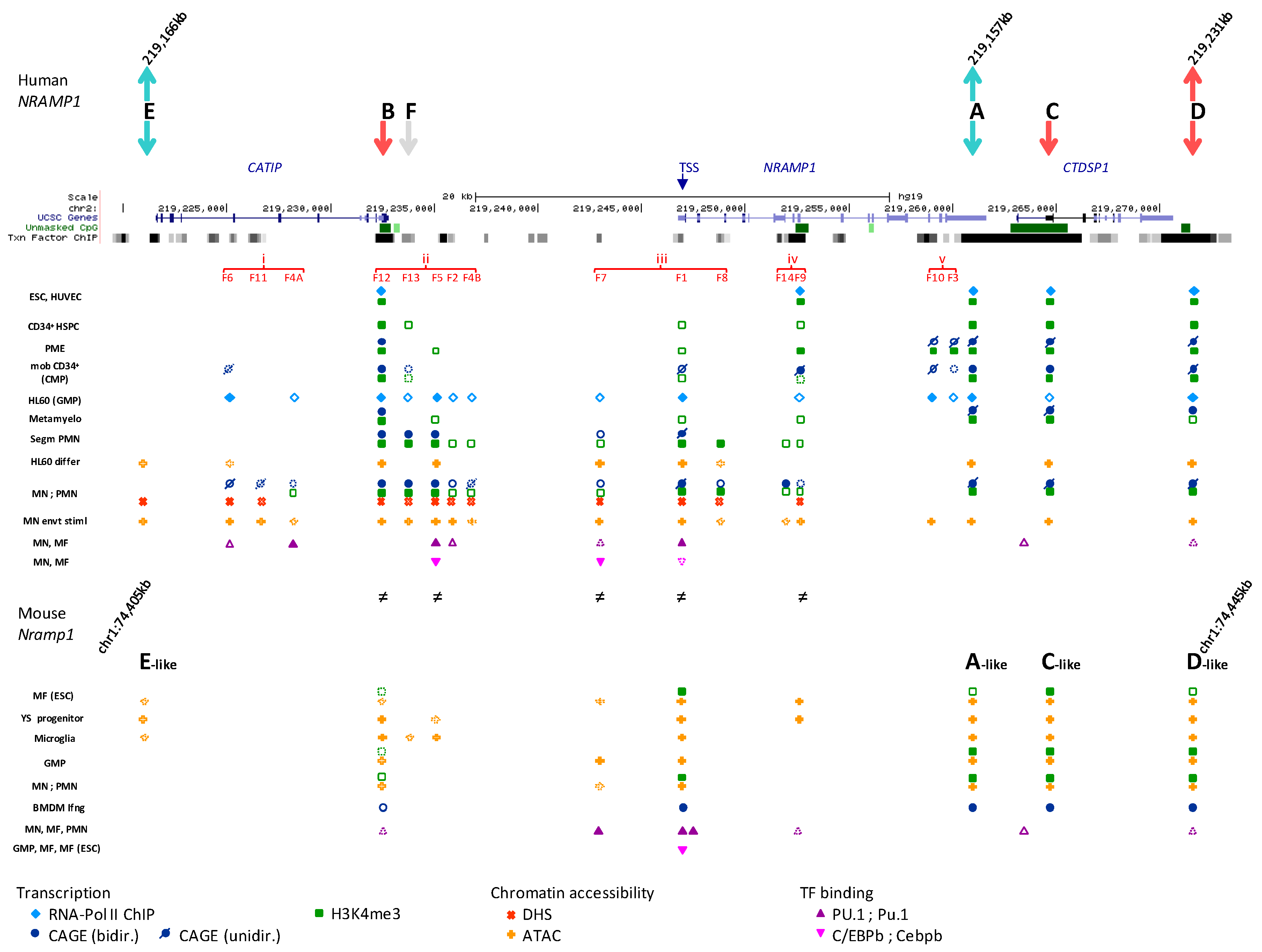 Biology 06 00028 g008