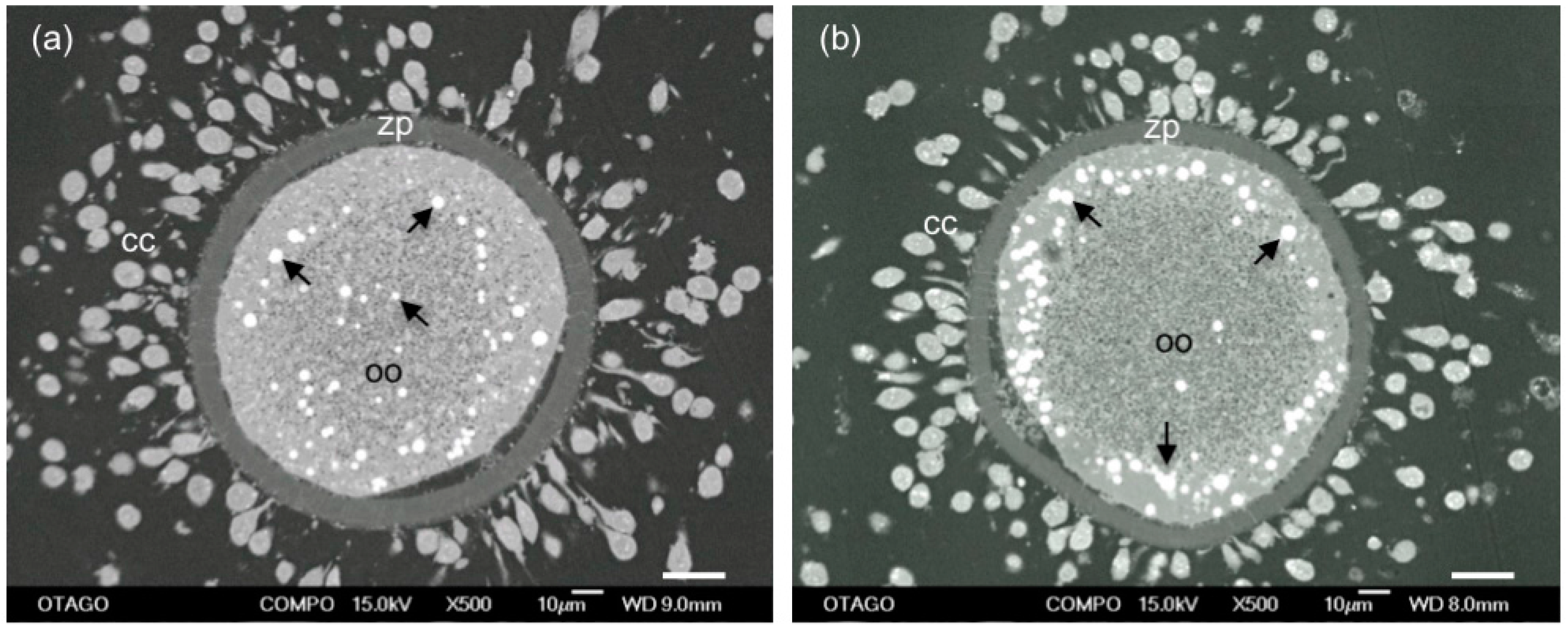 Biology 06 00035 g003