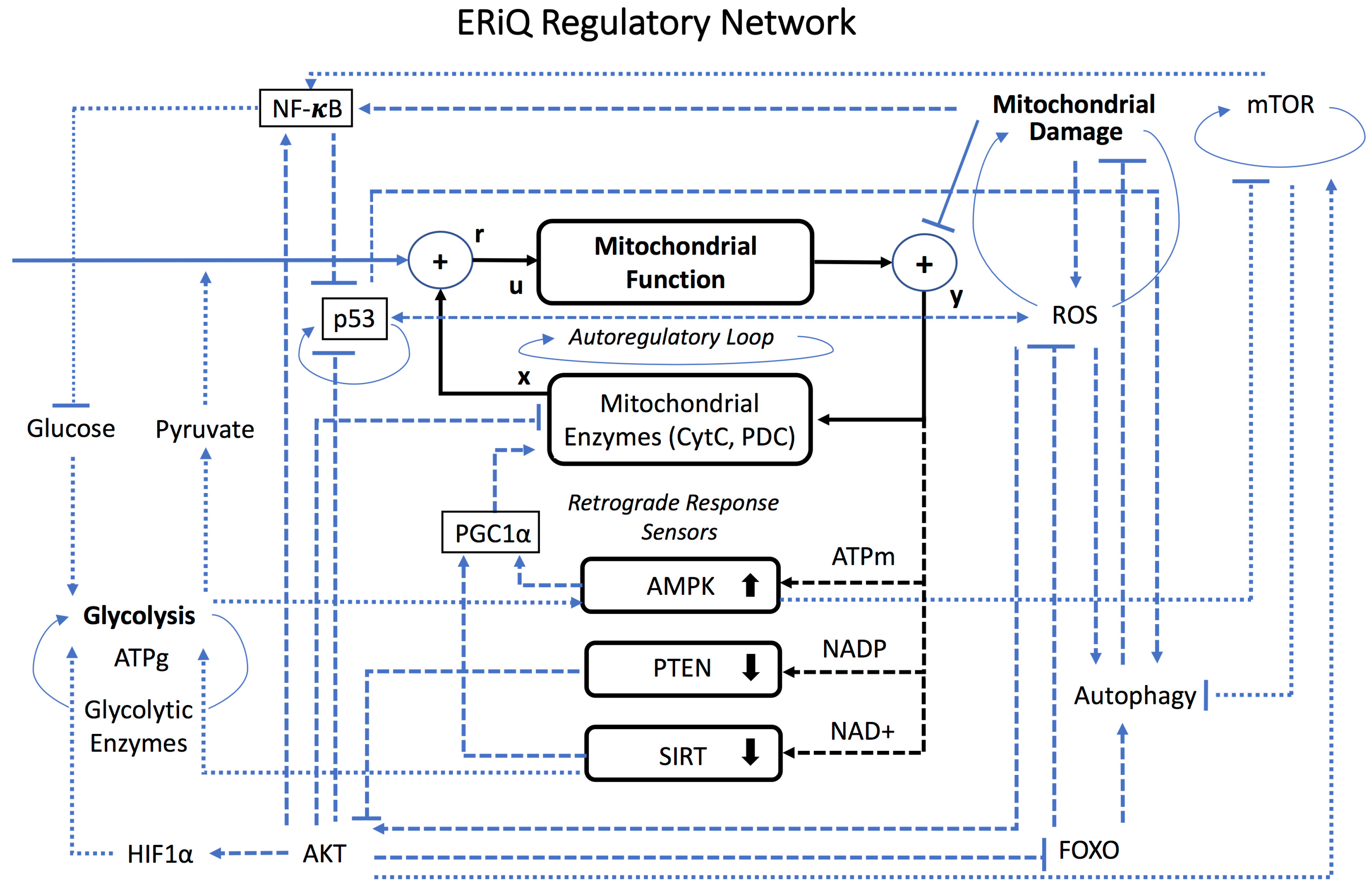 Biology 06 00044 g001