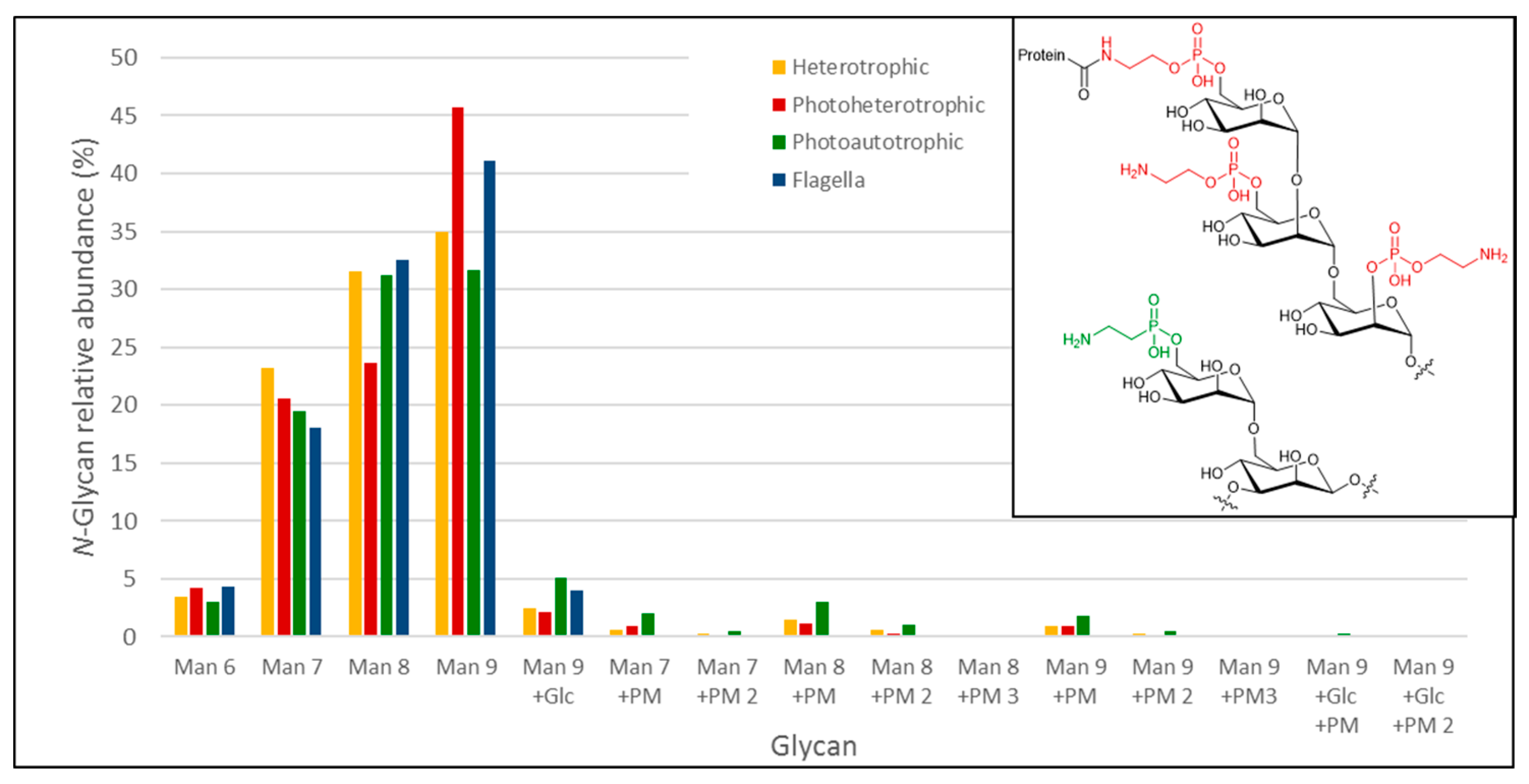 Biology 06 00045 g005