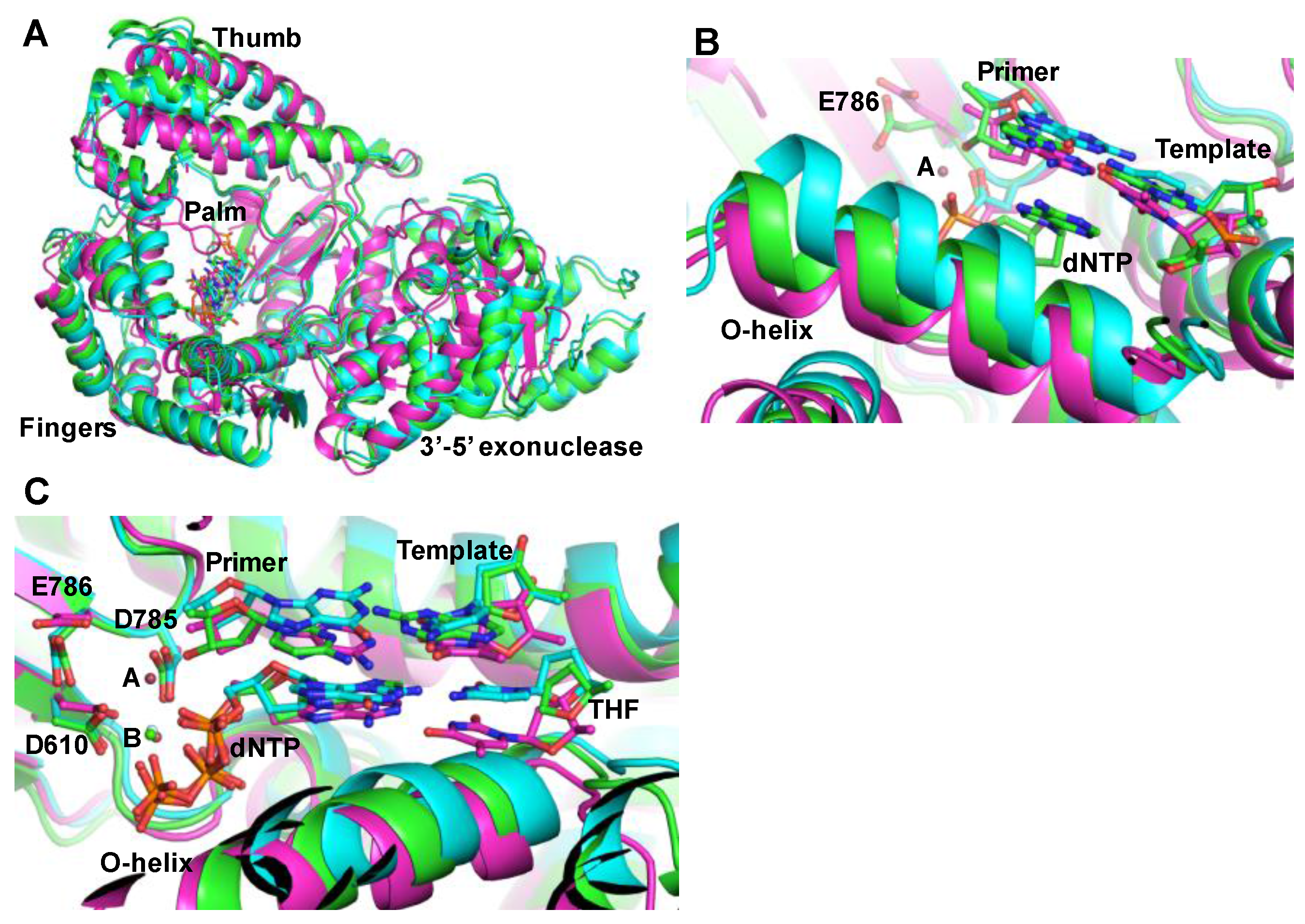 Biology 07 00005 g001