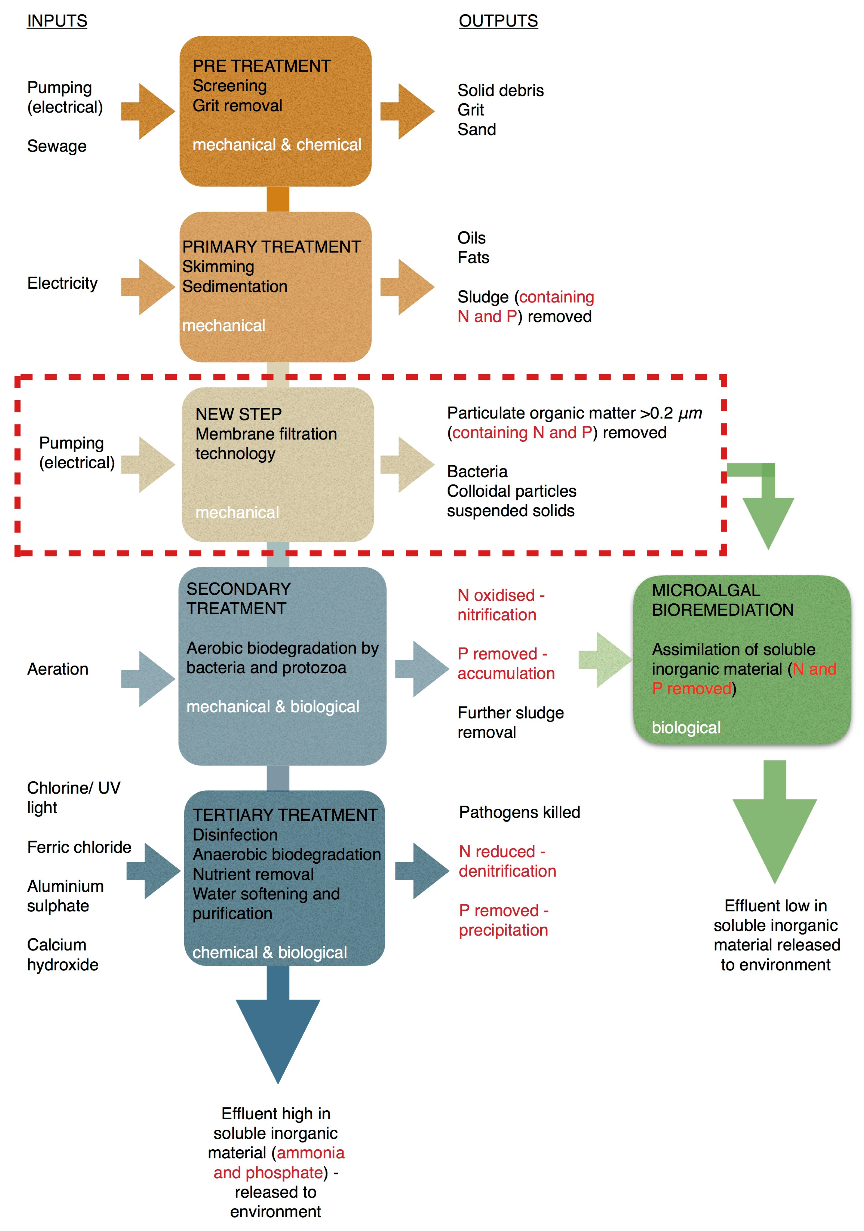 Biology 07 00012 g001 Biology 07 00012 g001