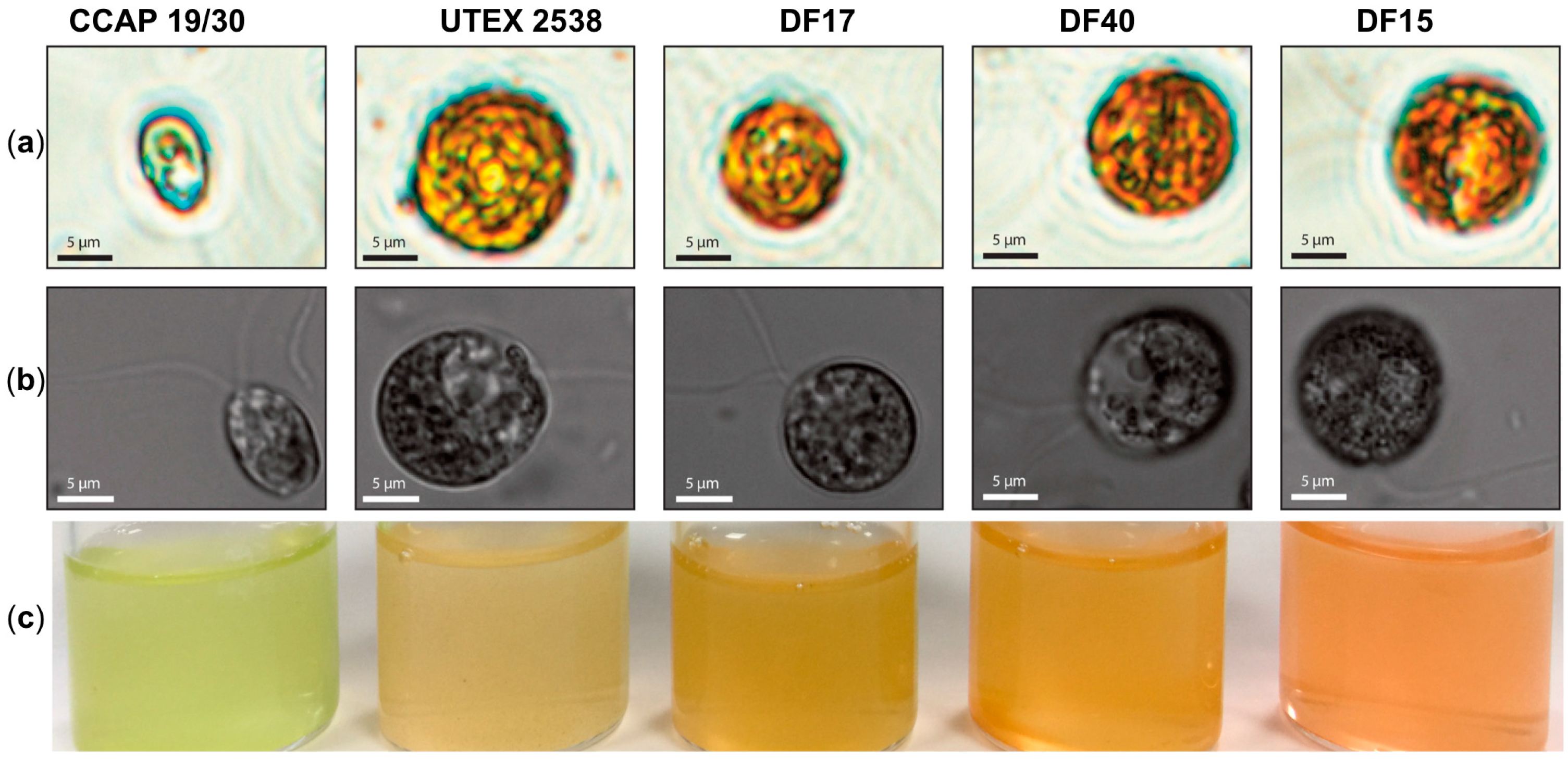 Biology 07 00014 g001