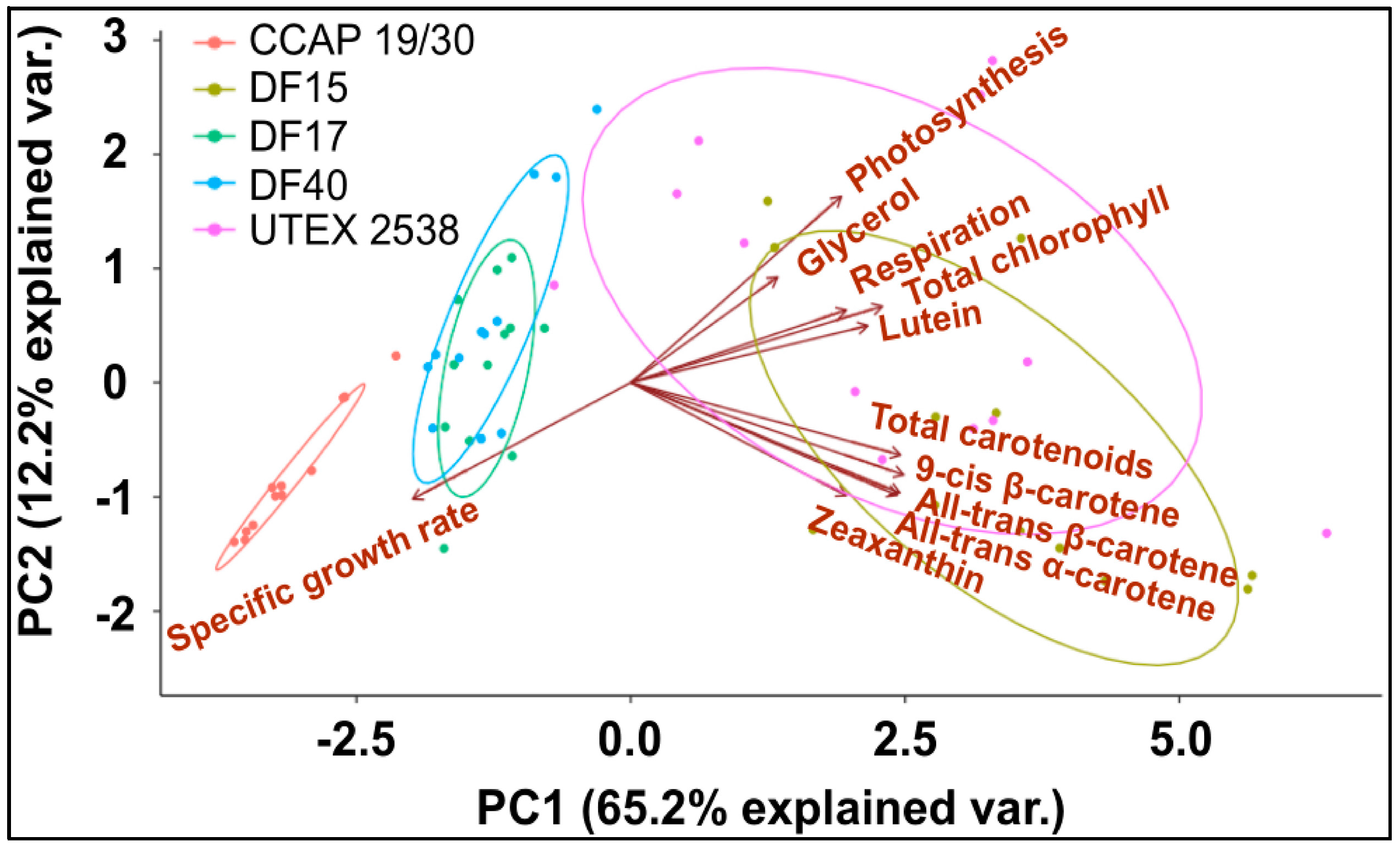 Biology 07 00014 g008
