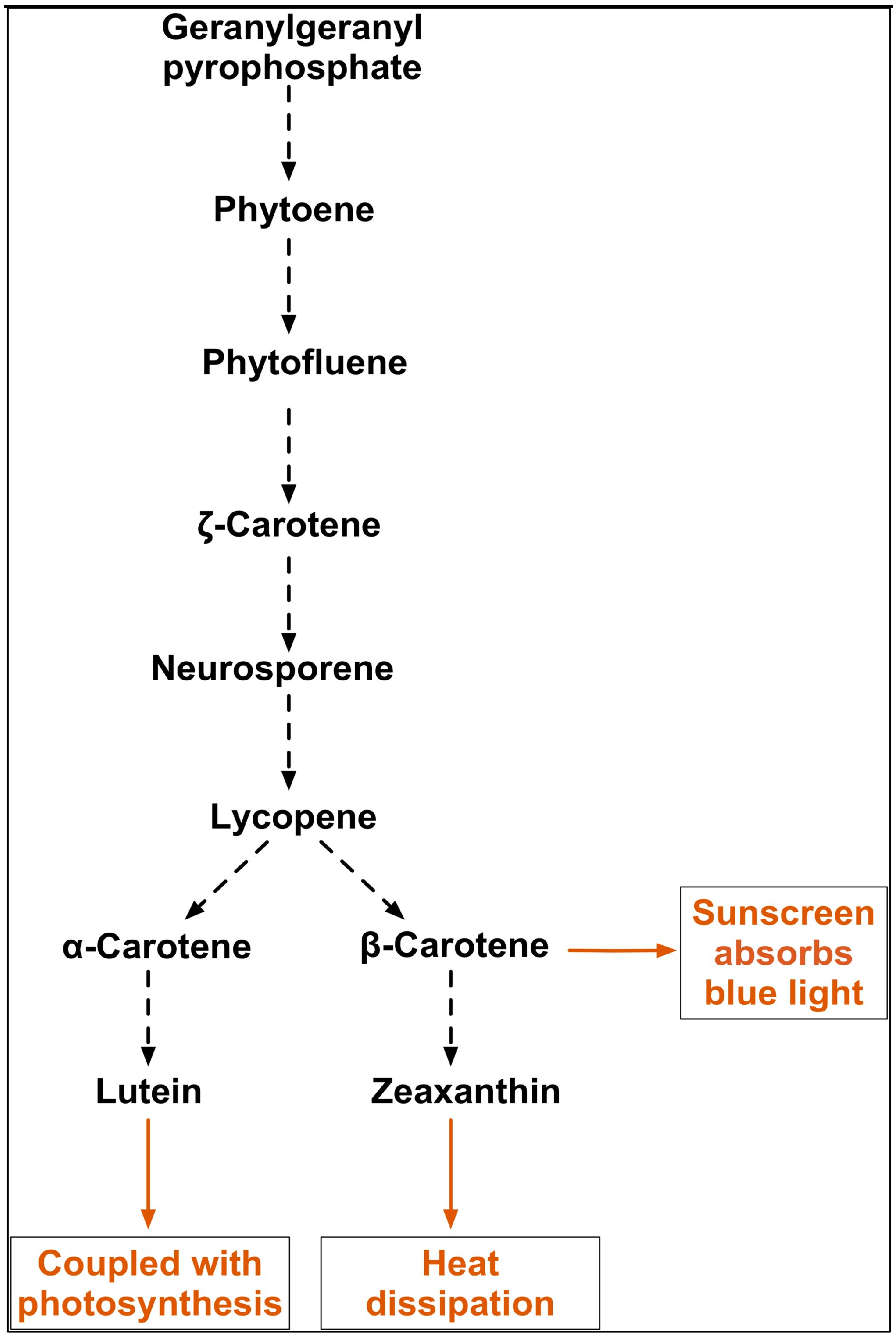 Biology 07 00014 g009