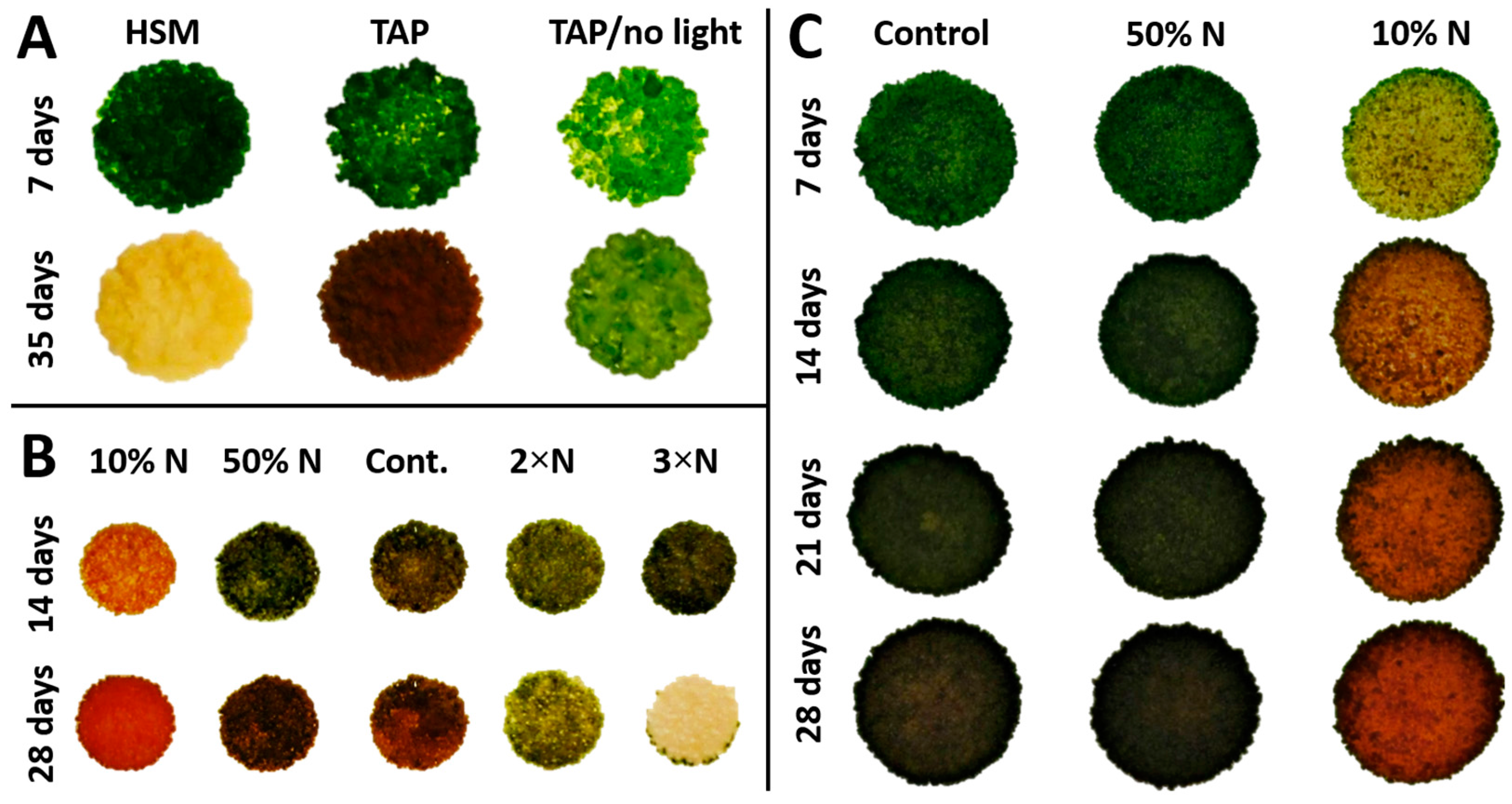 Biology 07 00017 g003