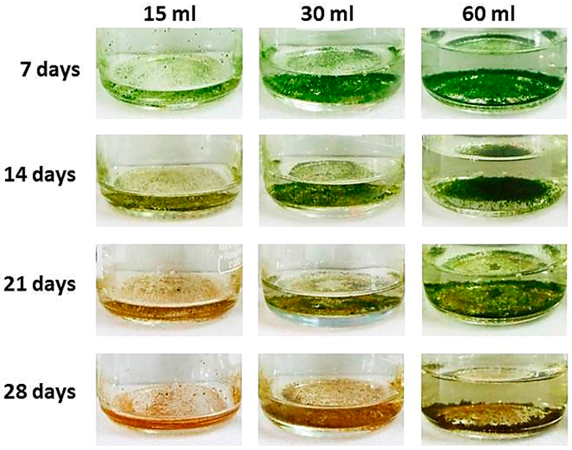 Biology 07 00017 g005