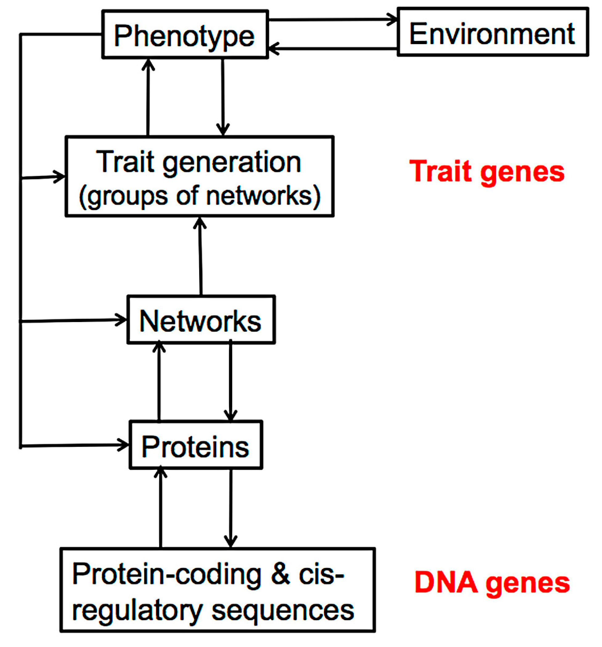 Biology 07 00020 g001 Biology 07 00020 g001
