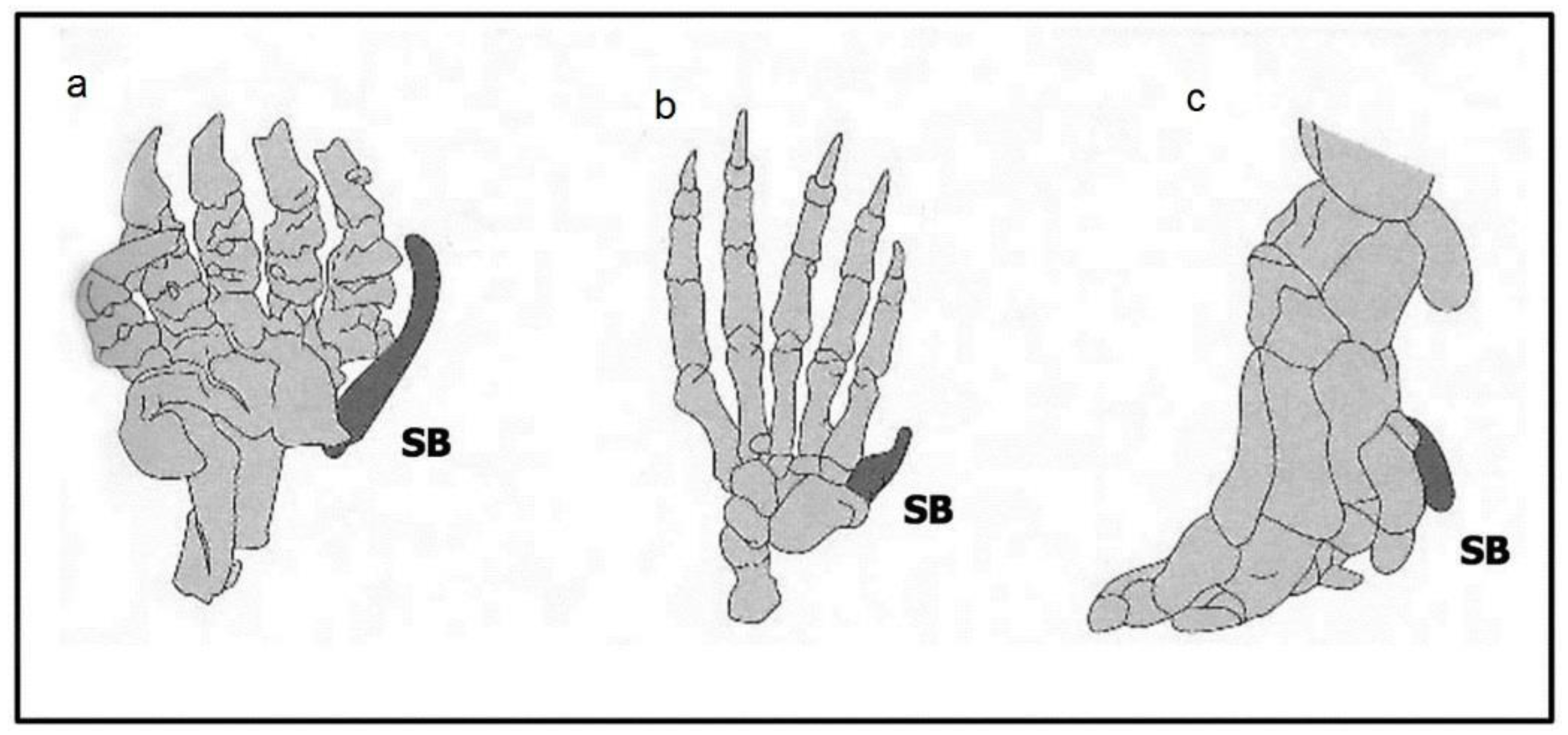 Biology 07 00020 g004 Biology 07 00020 g004