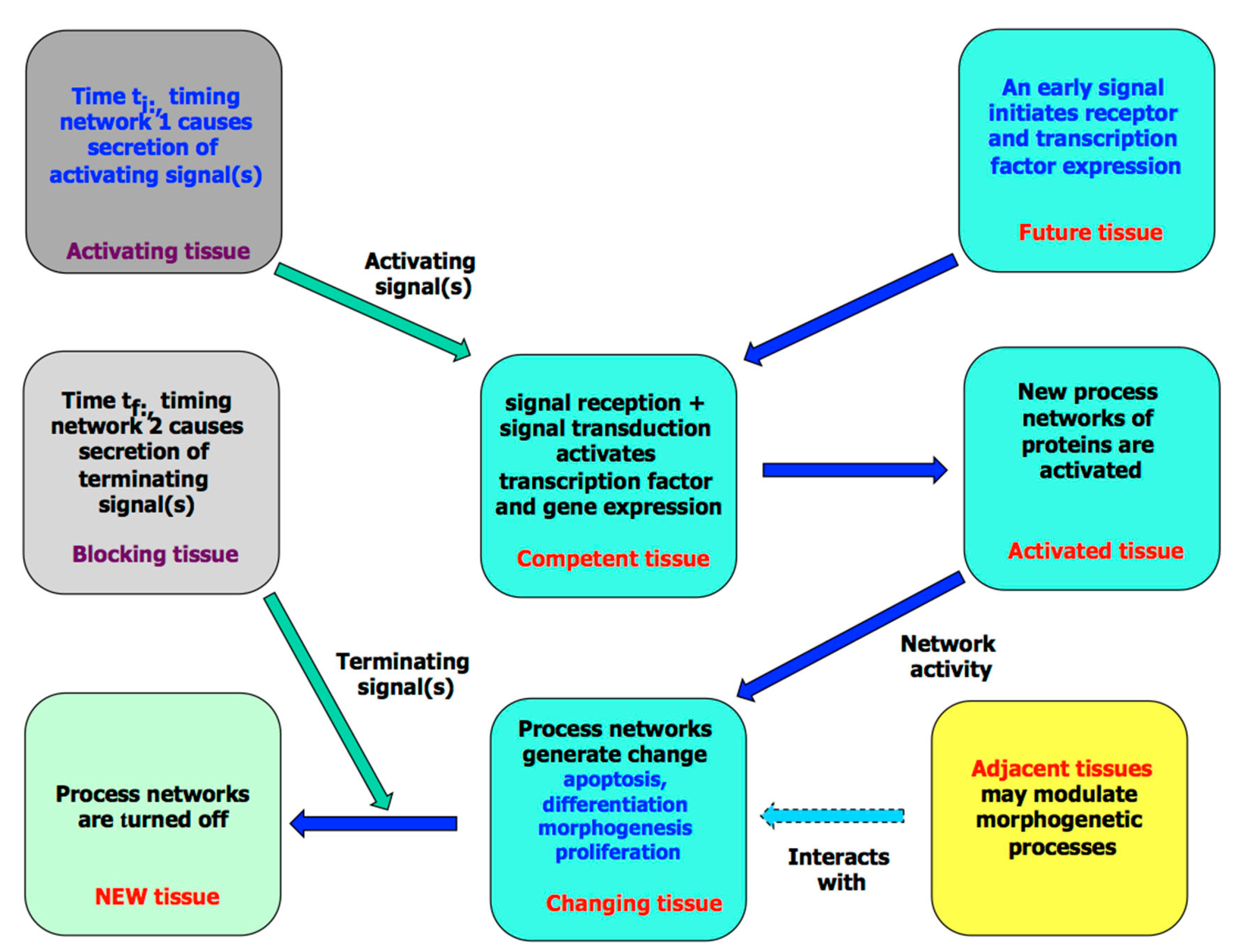 Biology 07 00020 g007 Biology 07 00020 g007