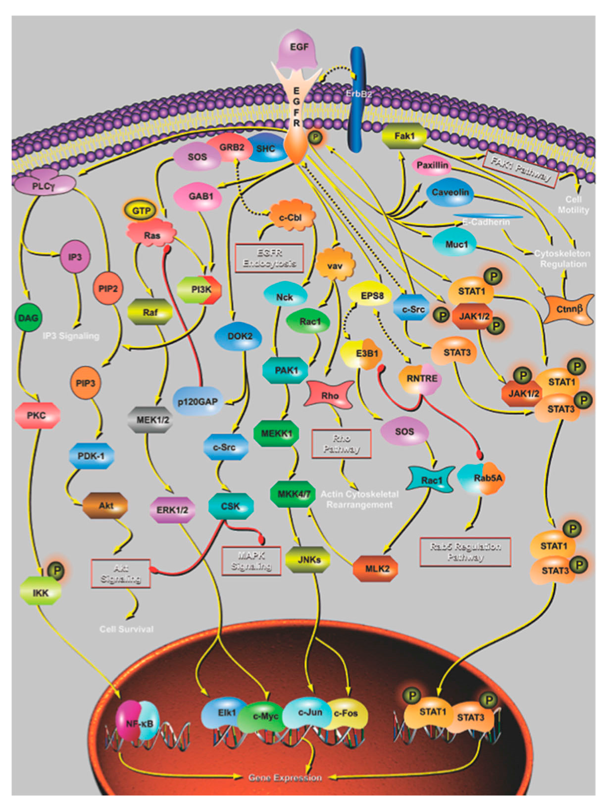 Biology 07 00020 g008 Biology 07 00020 g008