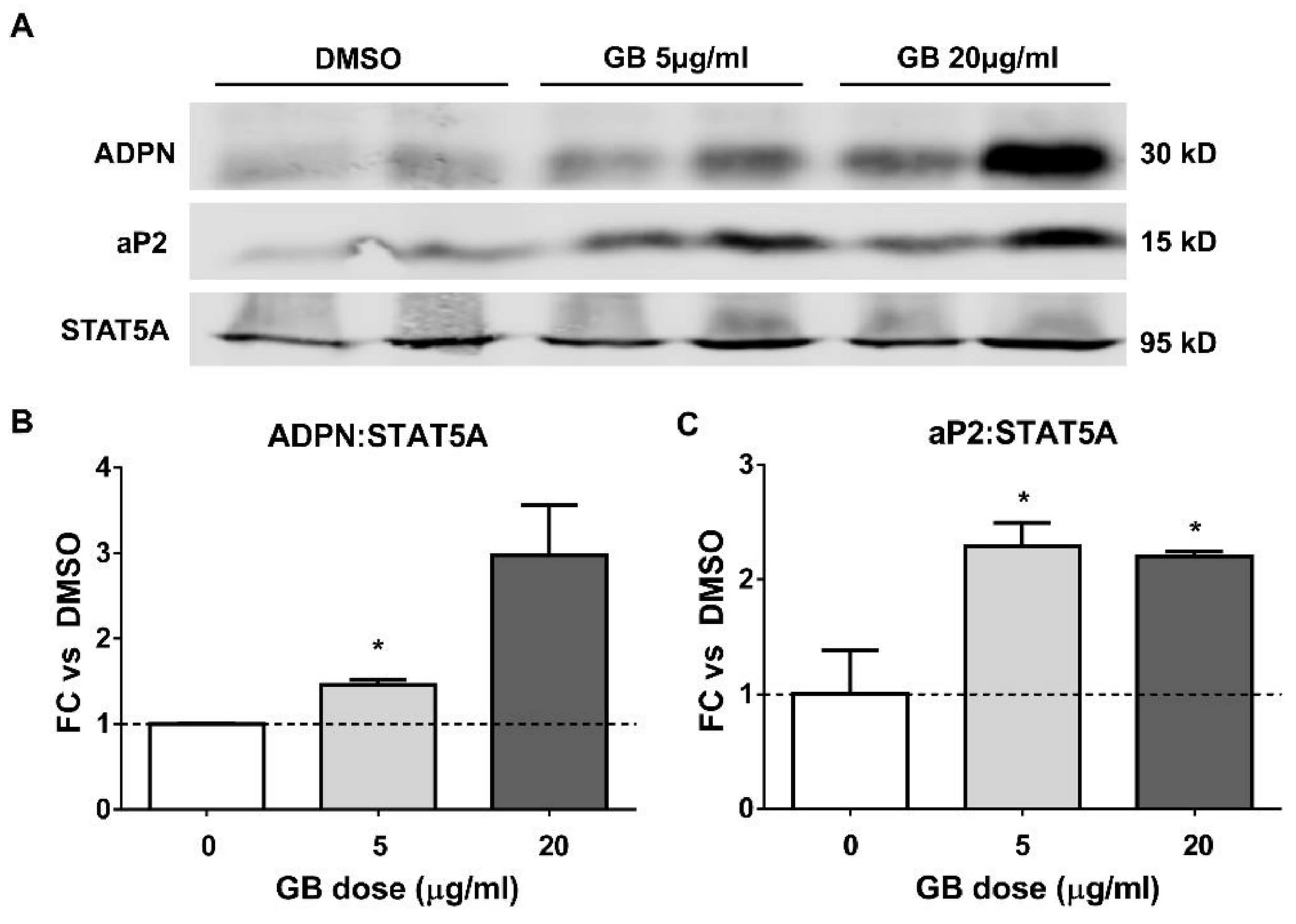 Biology 07 00022 g002 Biology 07 00022 g002