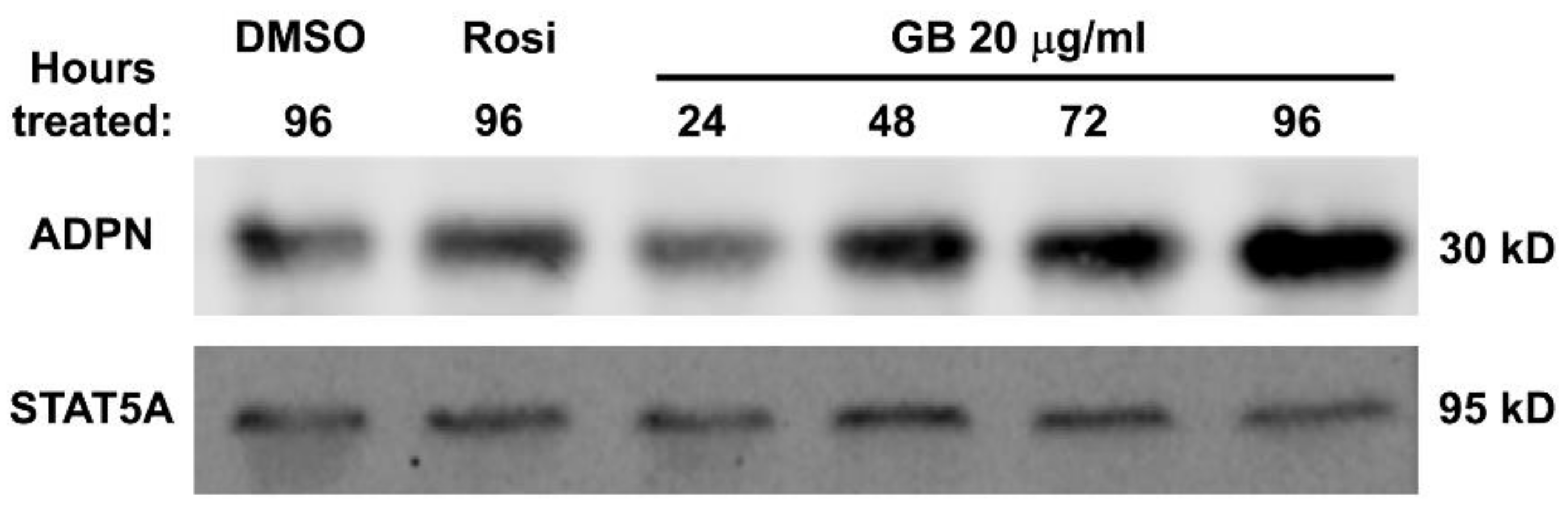 Biology 07 00022 g004 Biology 07 00022 g004