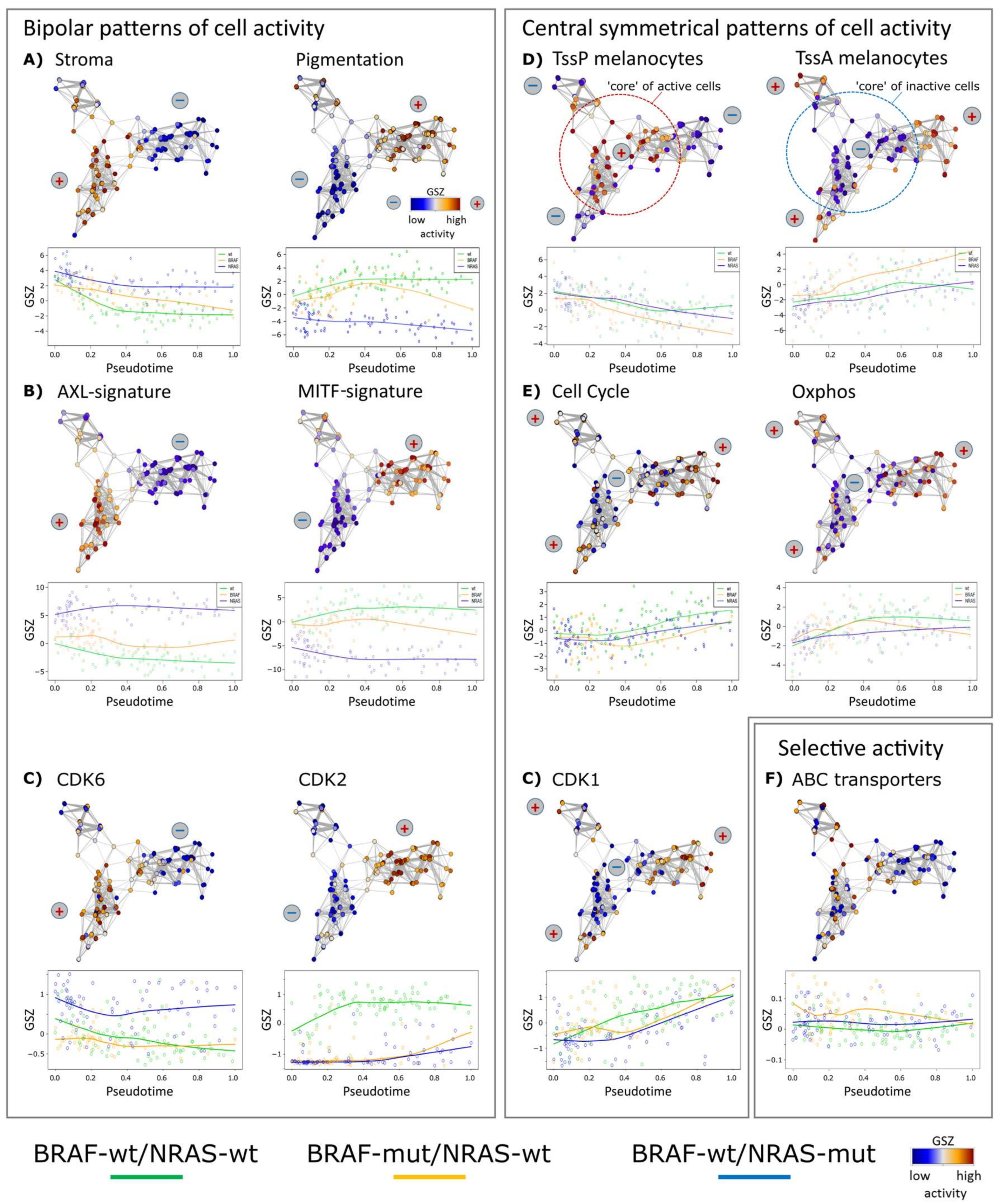 Biology 07 00023 g002