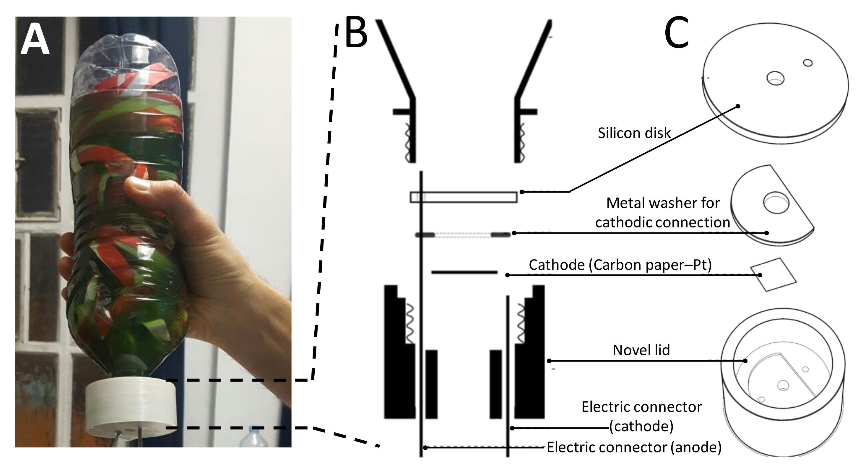 Biology 07 00026 g001